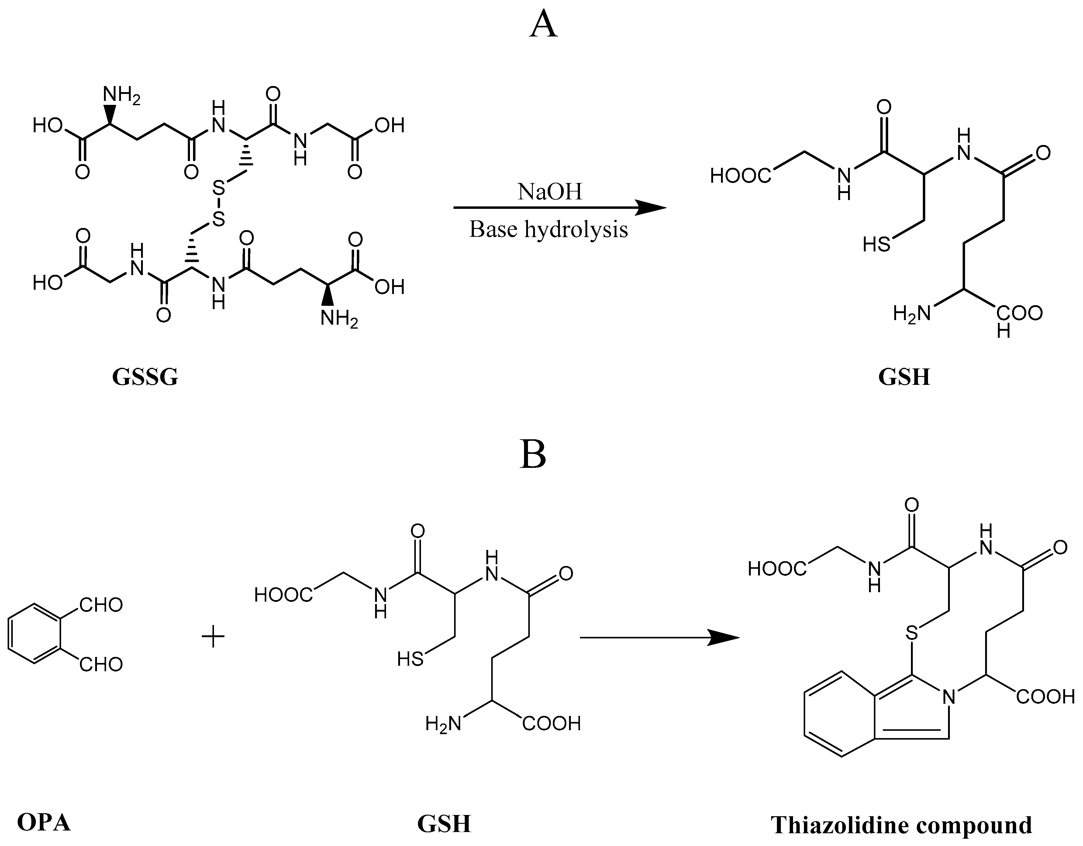 Molecules 25 04196 g012 Molecules 25 04196 g012