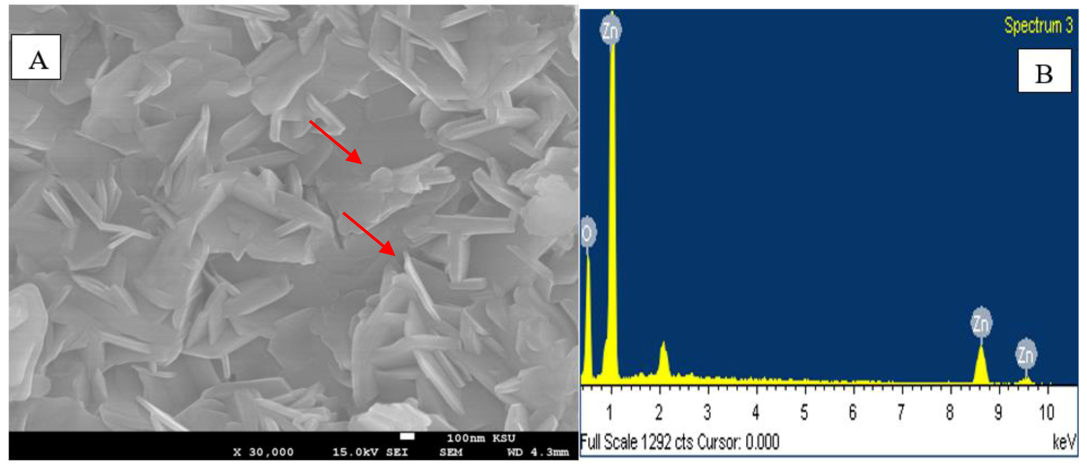 Molecules 25 04198 g005 Molecules 25 04198 g005