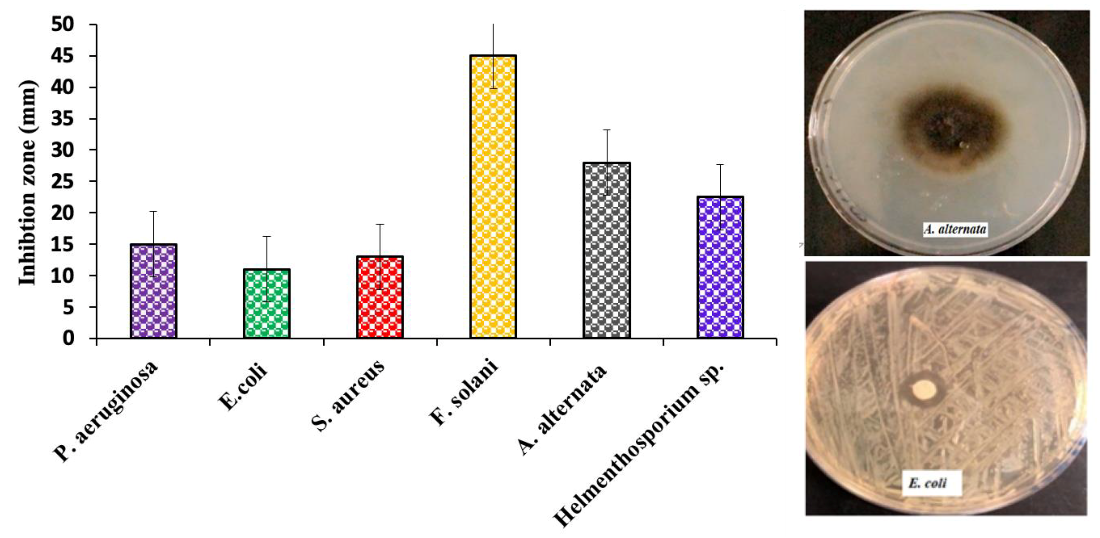 Molecules 25 04198 g008 Molecules 25 04198 g008