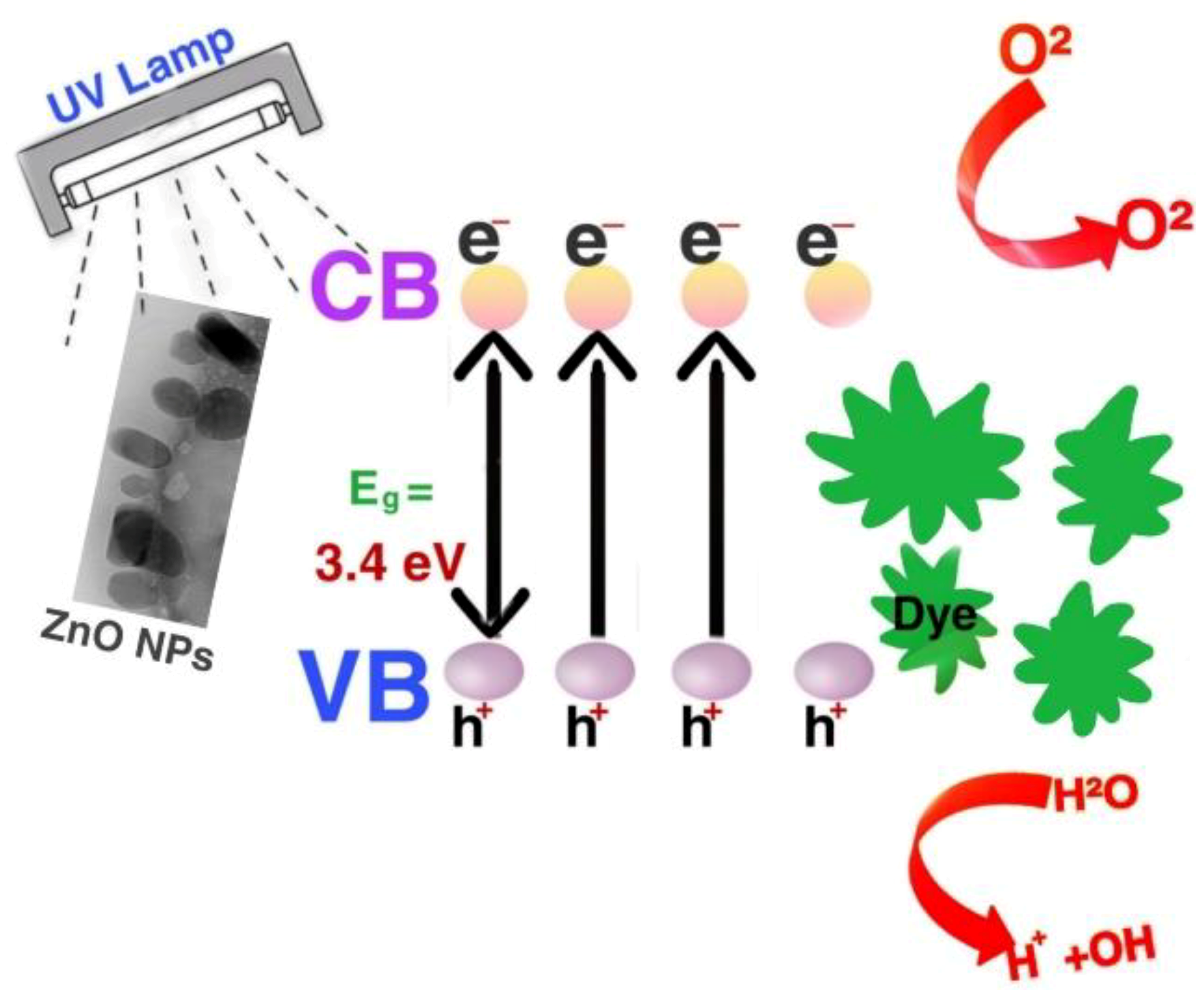 Molecules 25 04198 sch001 Molecules 25 04198 sch001