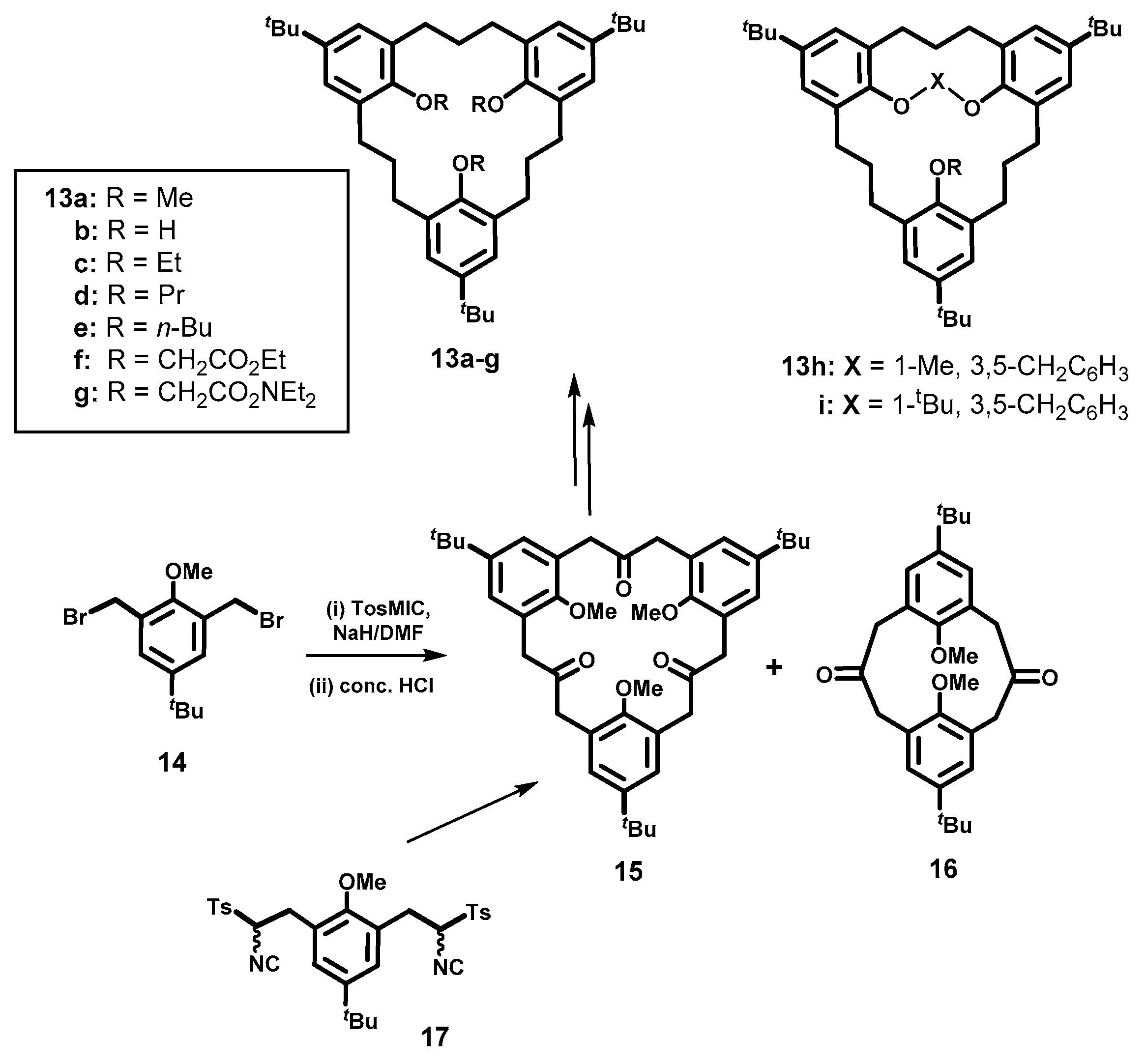 Molecules 25 04202 sch003