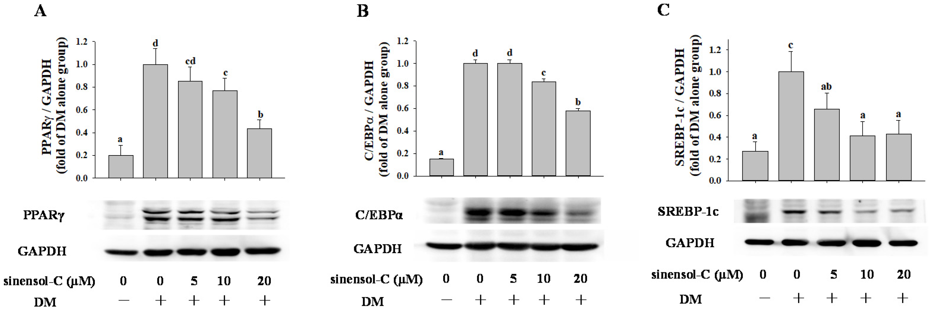 Molecules 25 04204 g004 Molecules 25 04204 g004