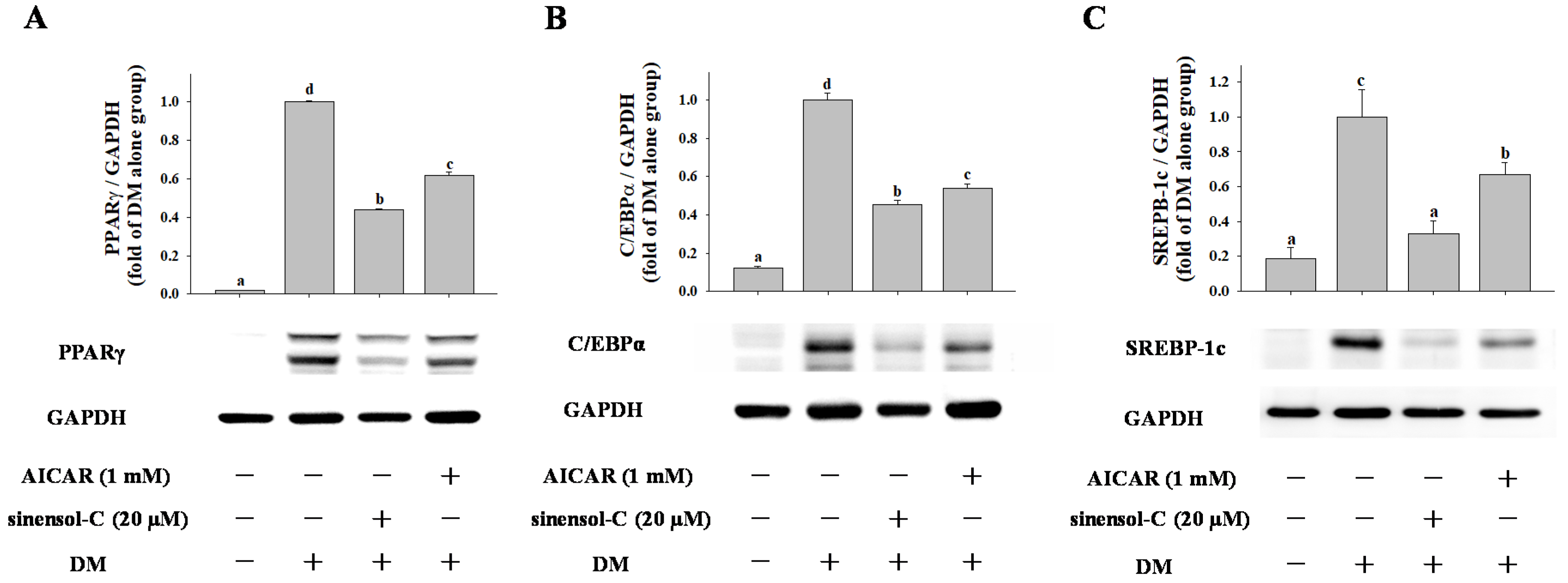Molecules 25 04204 g007 Molecules 25 04204 g007