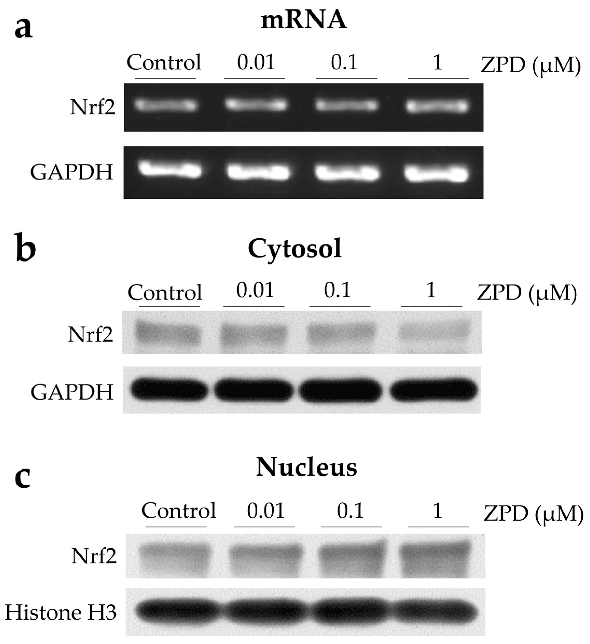 Molecules 25 04206 g002