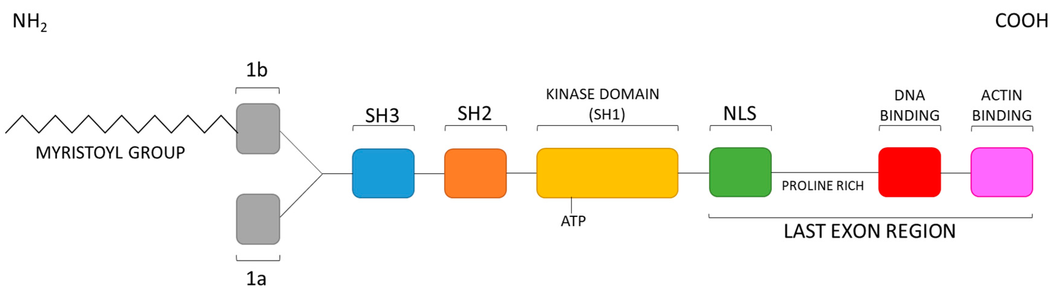 Molecules 25 04210 g001