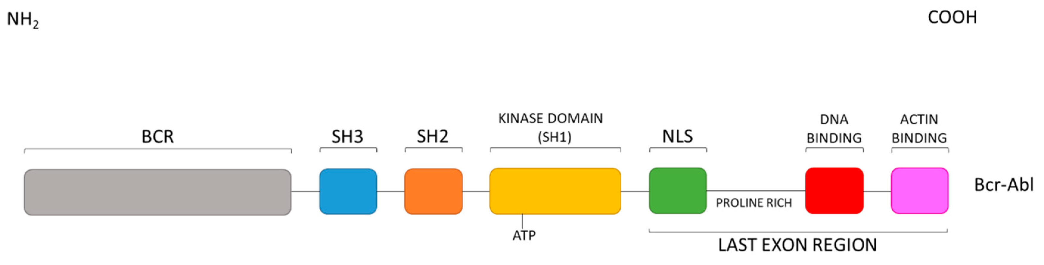 Molecules 25 04210 g003