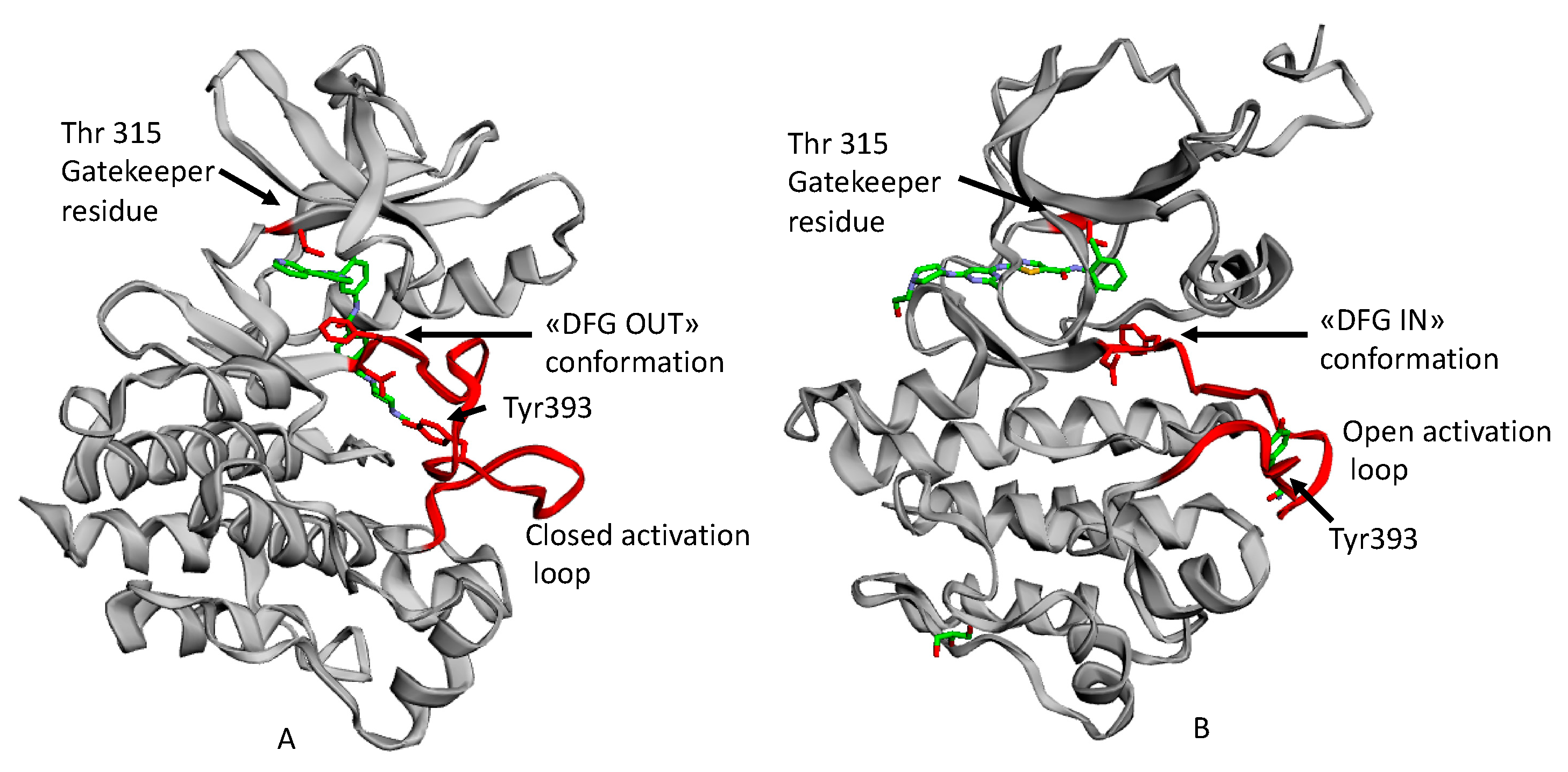Molecules 25 04210 g004