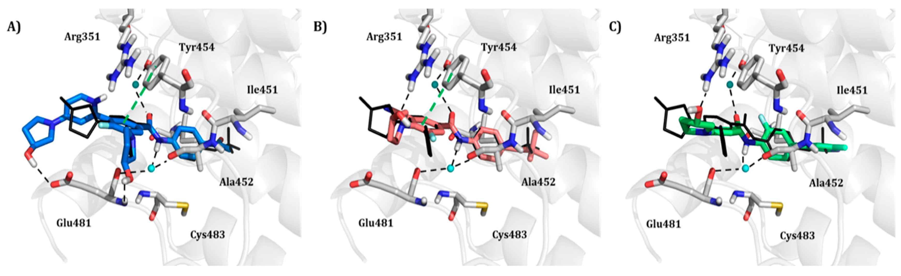Molecules 25 04210 g010