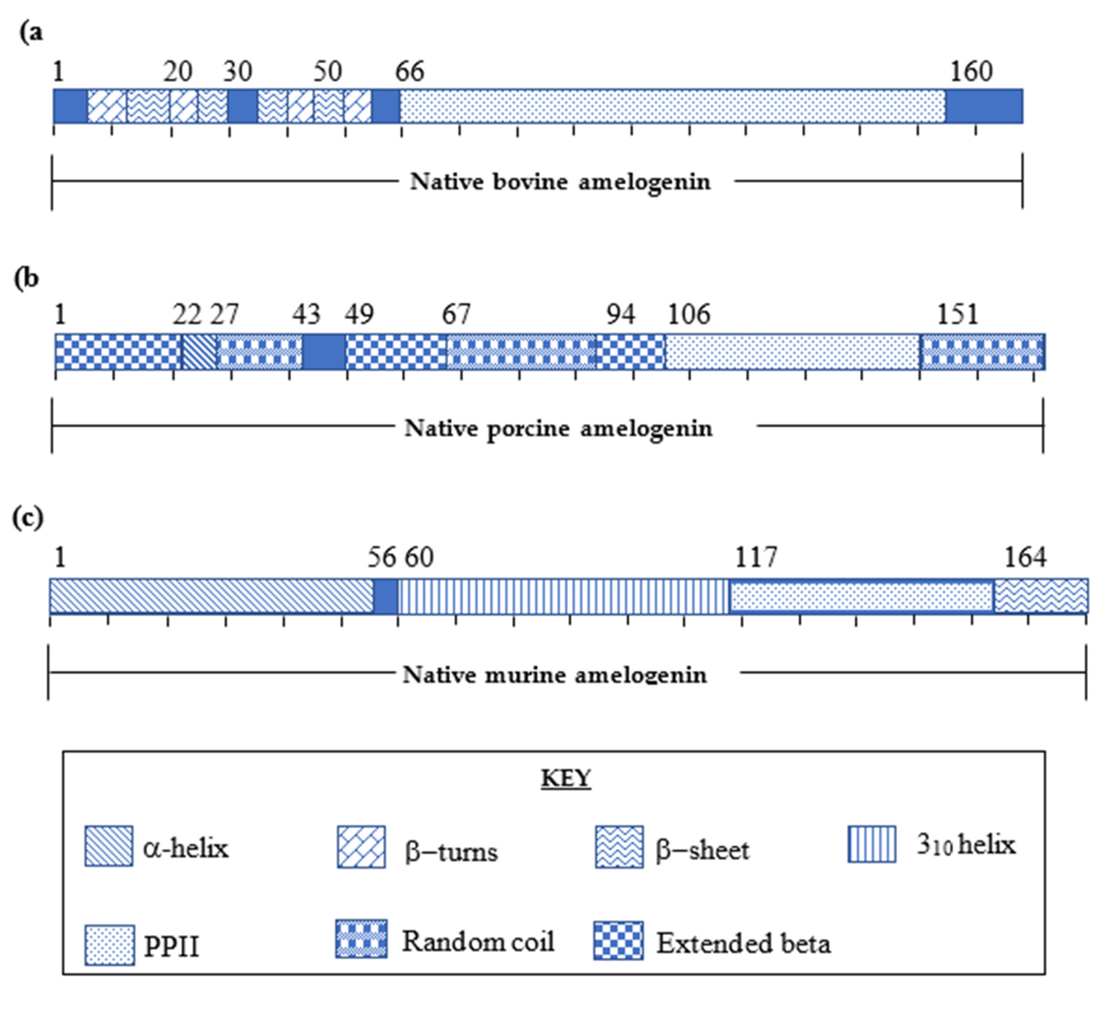 Molecules 25 04214 g003 Molecules 25 04214 g003