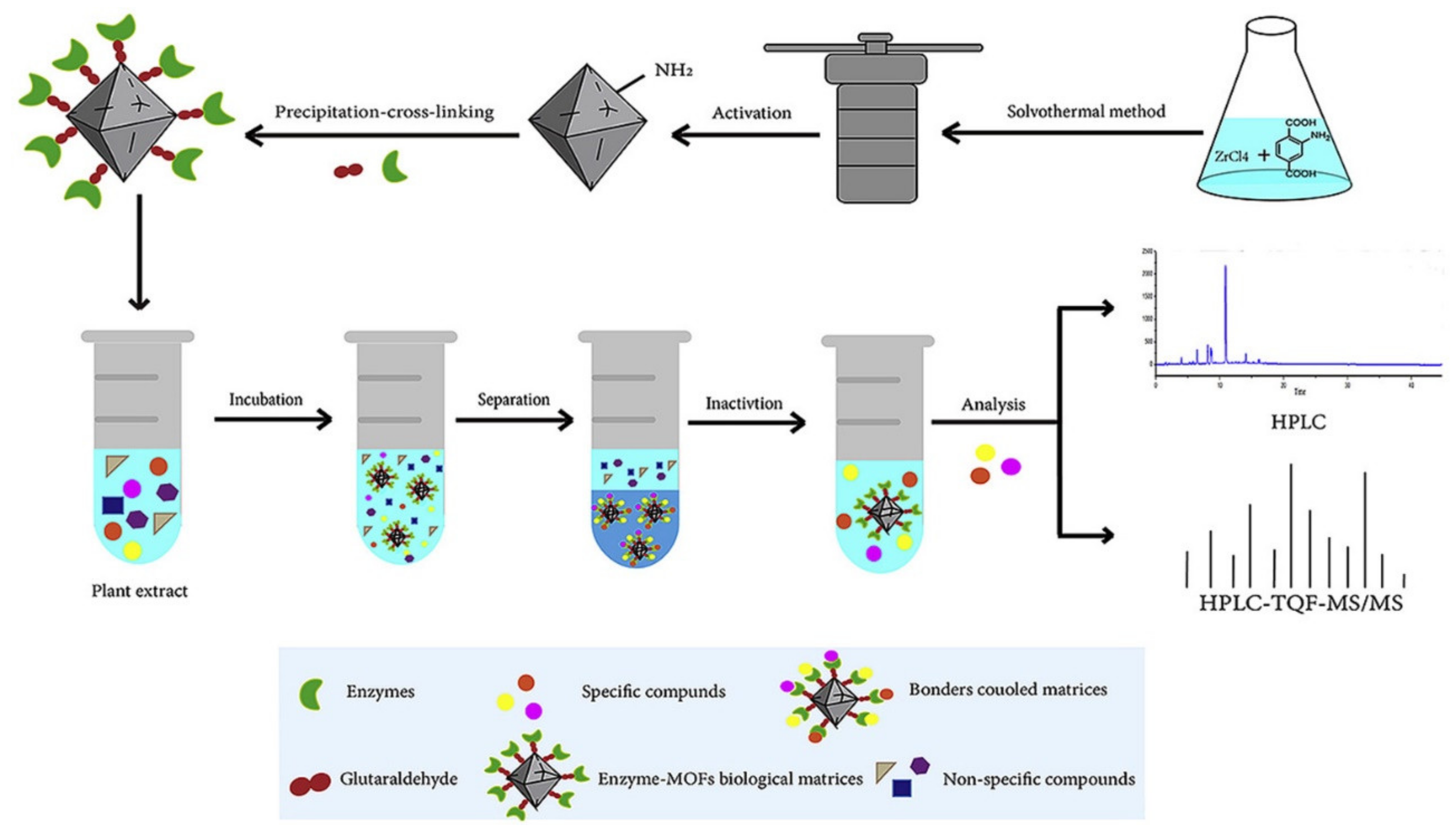 Molecules 25 04216 g003 Molecules 25 04216 g003