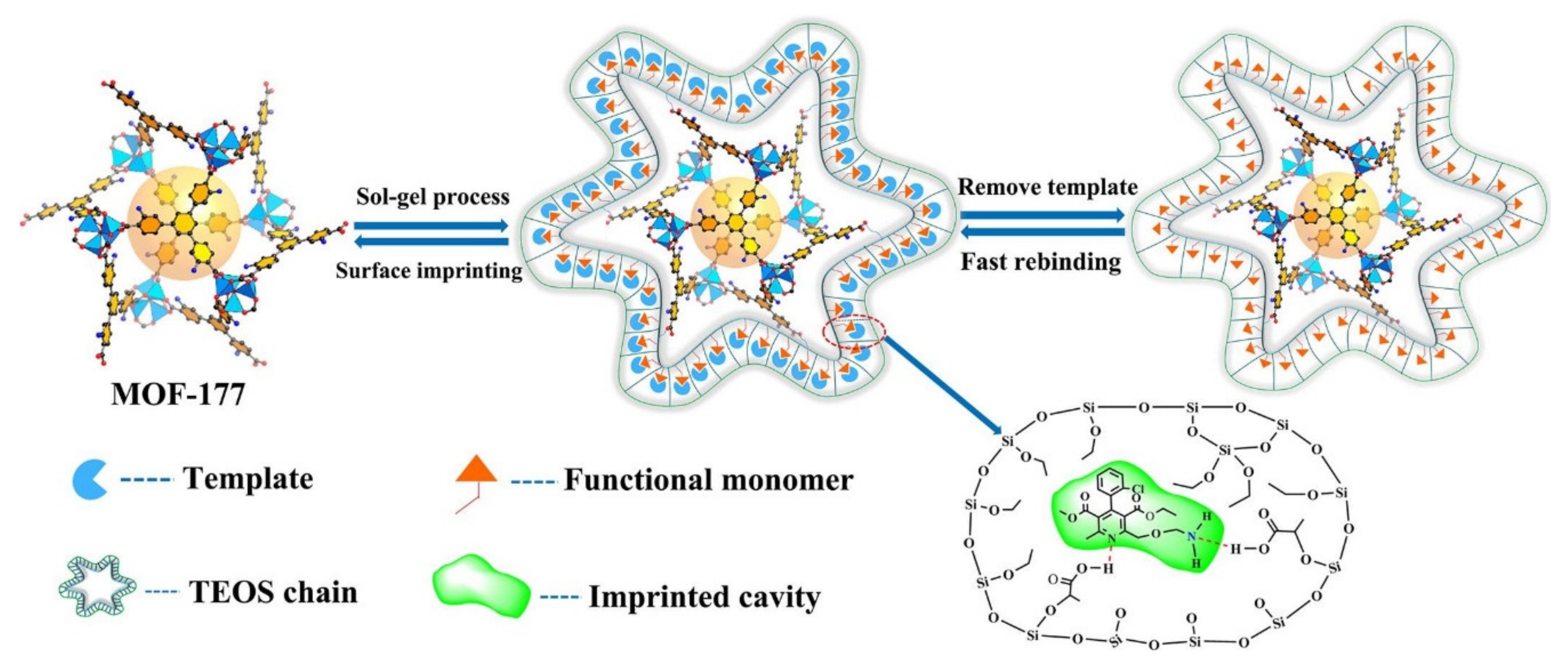 Molecules 25 04216 g005 Molecules 25 04216 g005