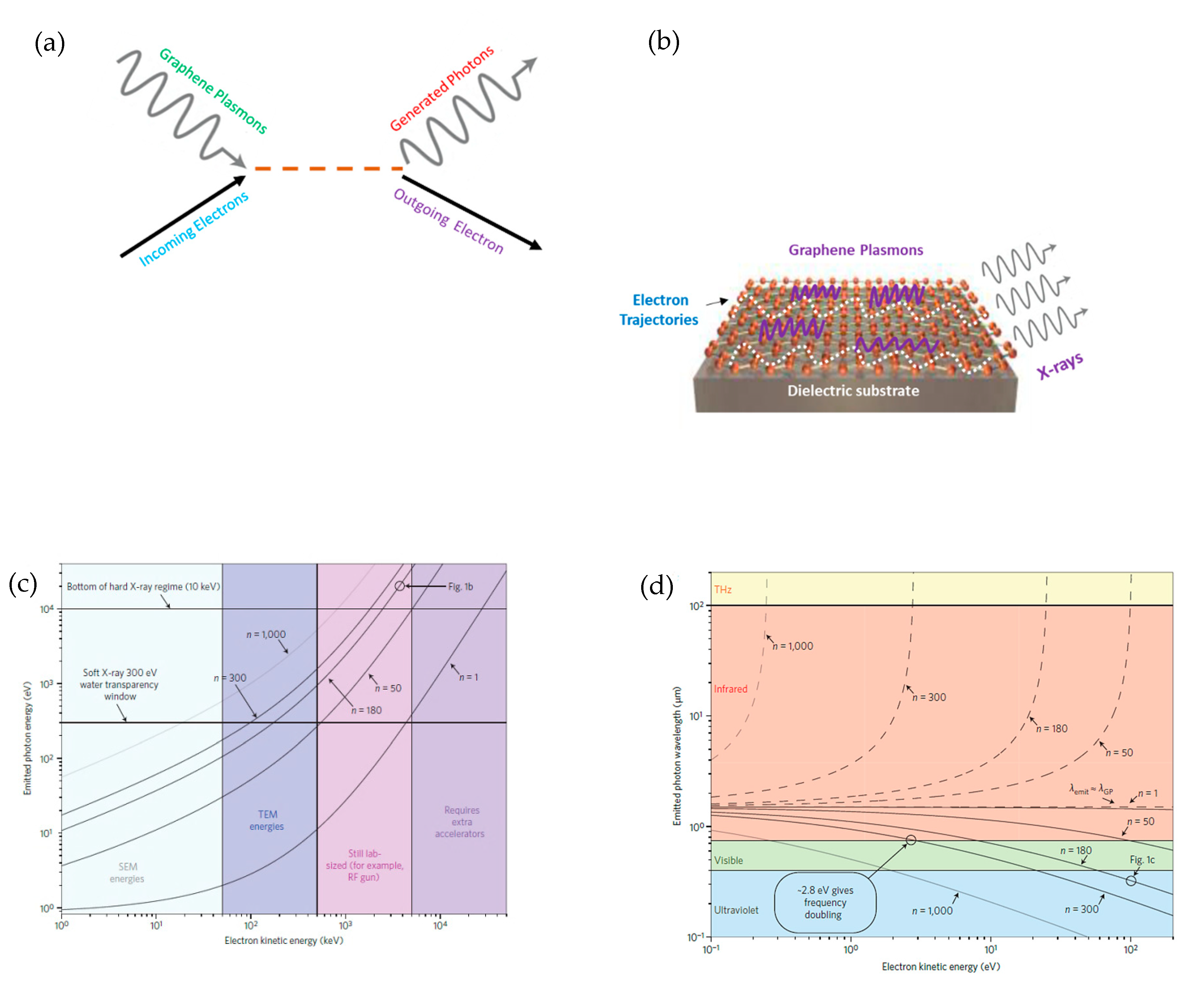 Molecules 25 04217 g007 Molecules 25 04217 g007