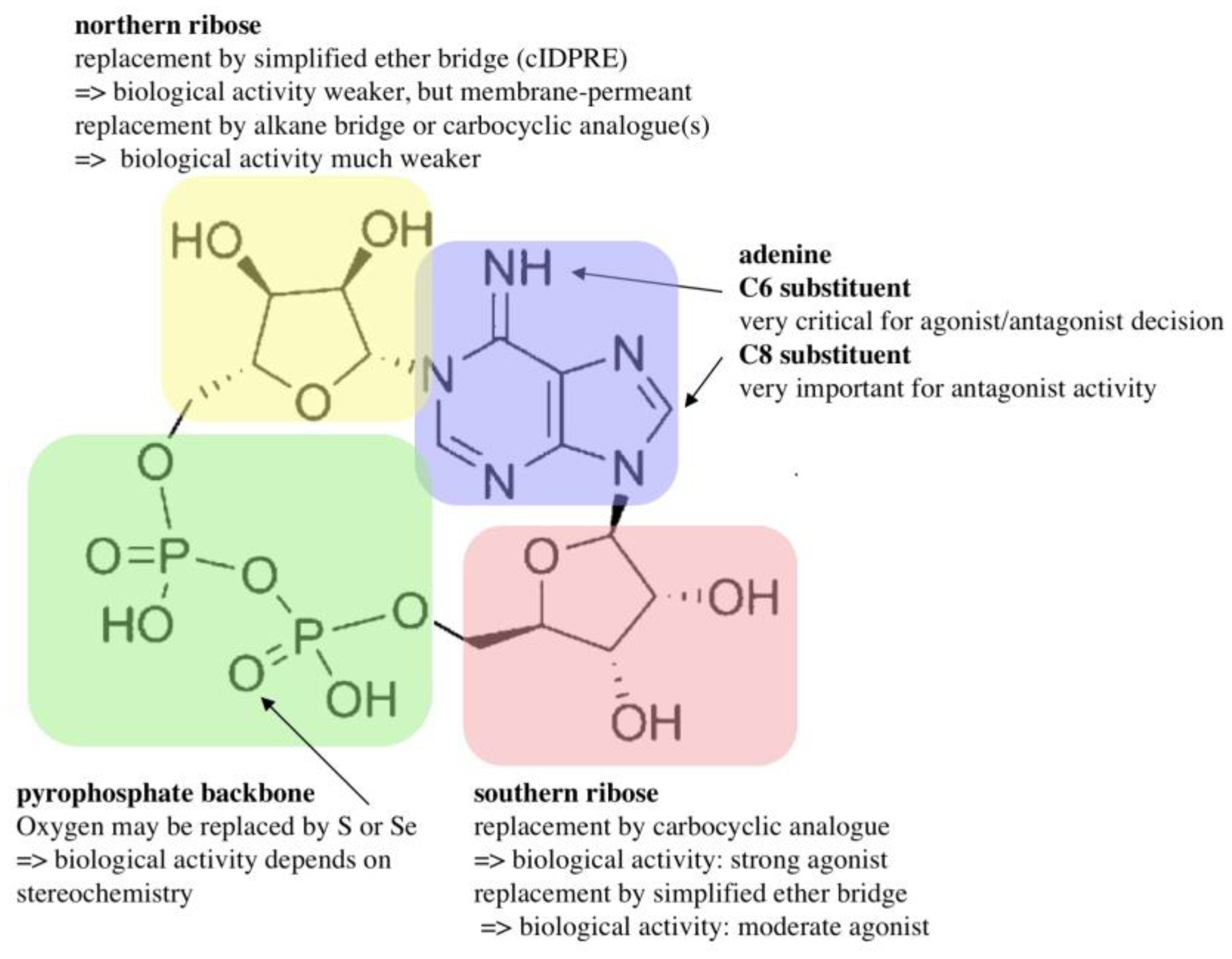 Molecules 25 04220 g004 Molecules 25 04220 g004