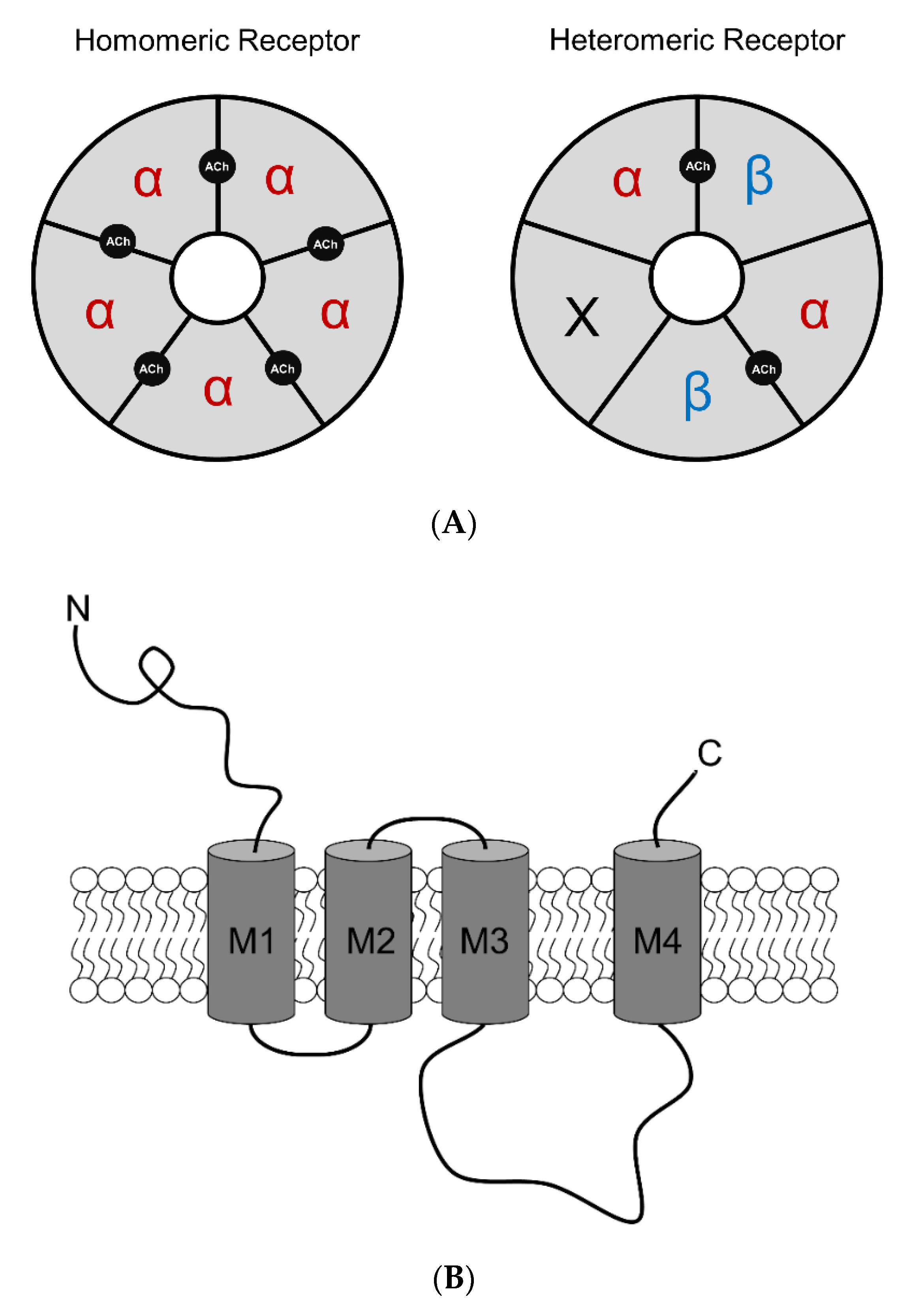 Molecules 25 04223 g001a