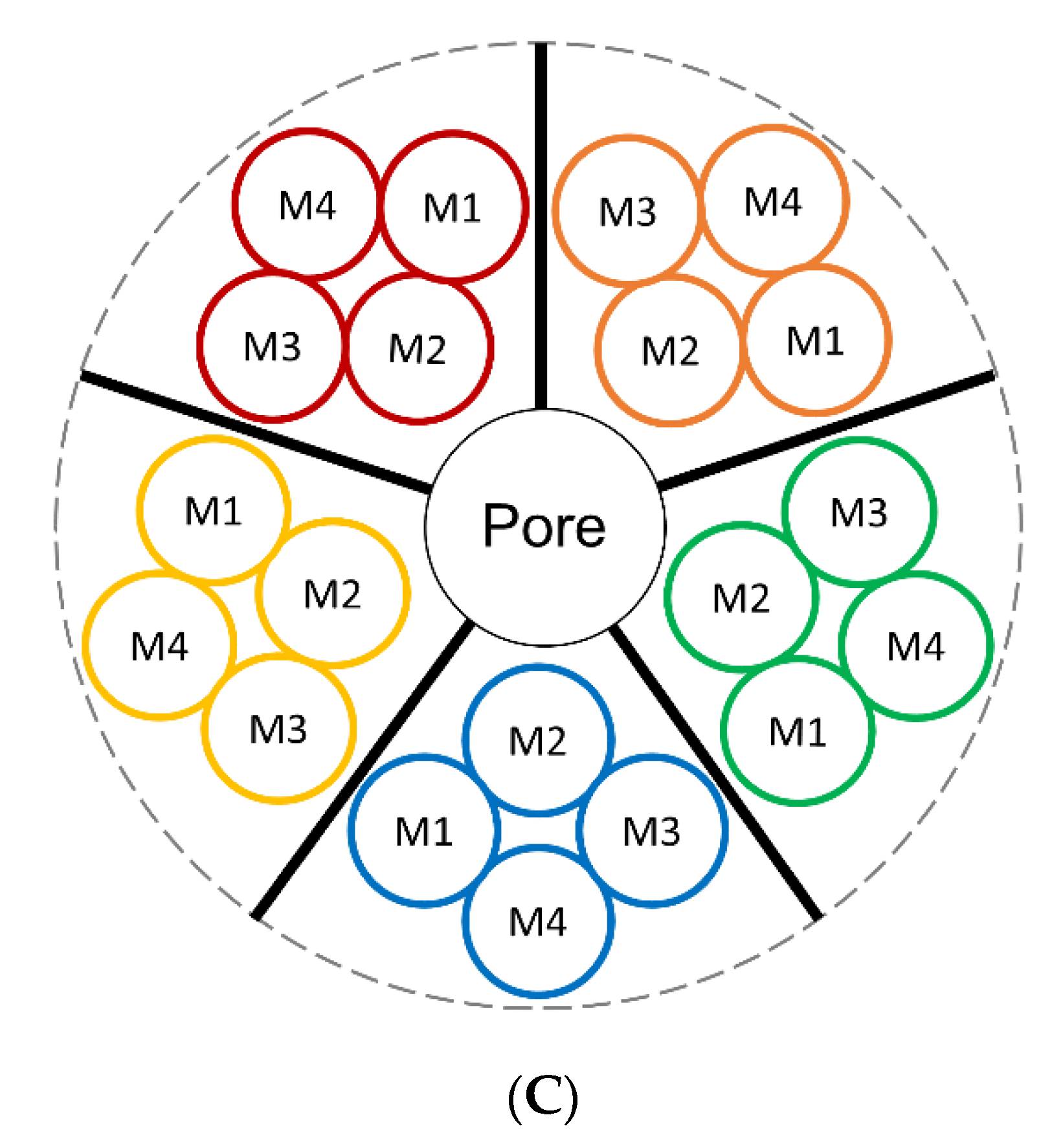 Molecules 25 04223 g001b