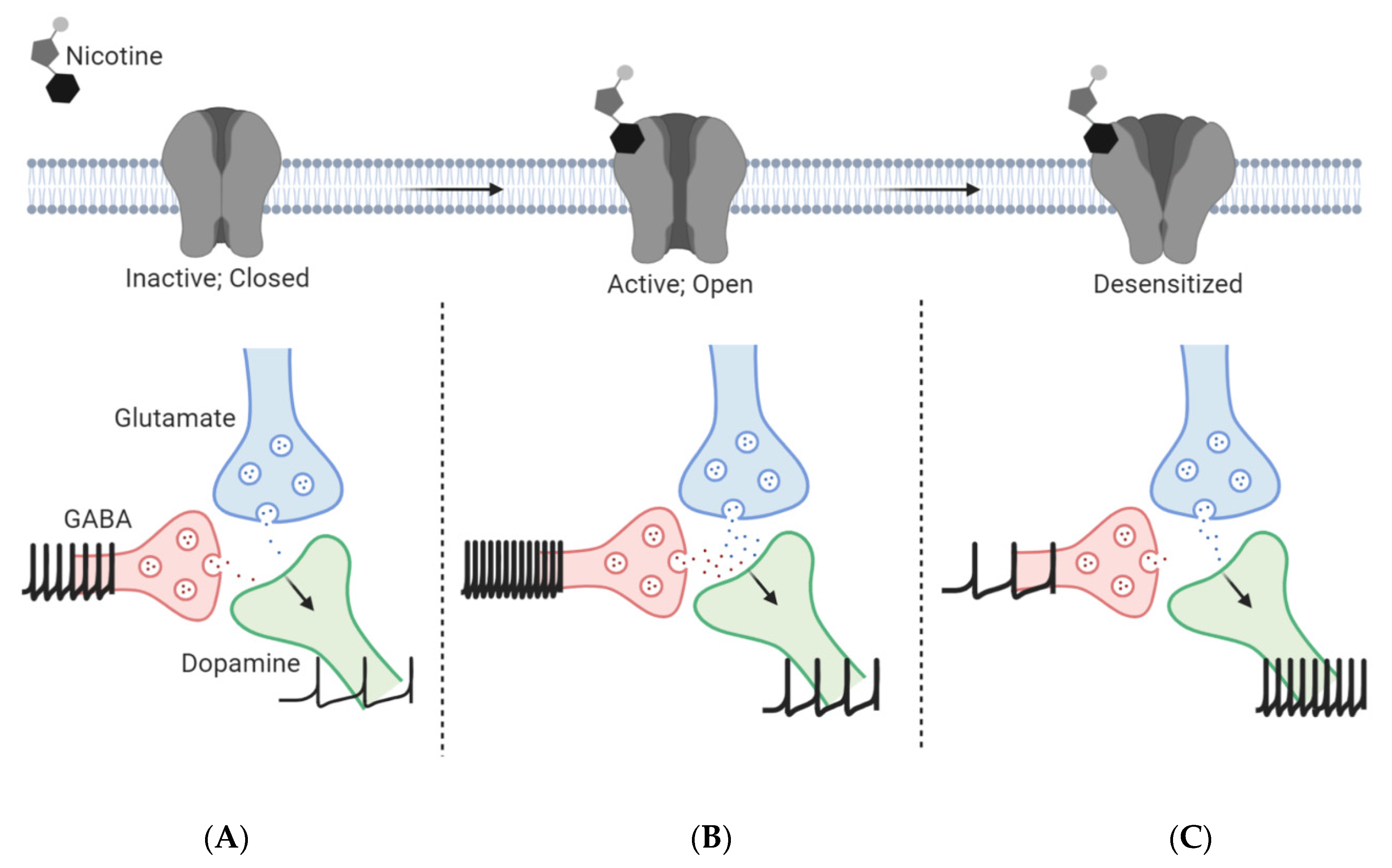 Molecules 25 04223 g002