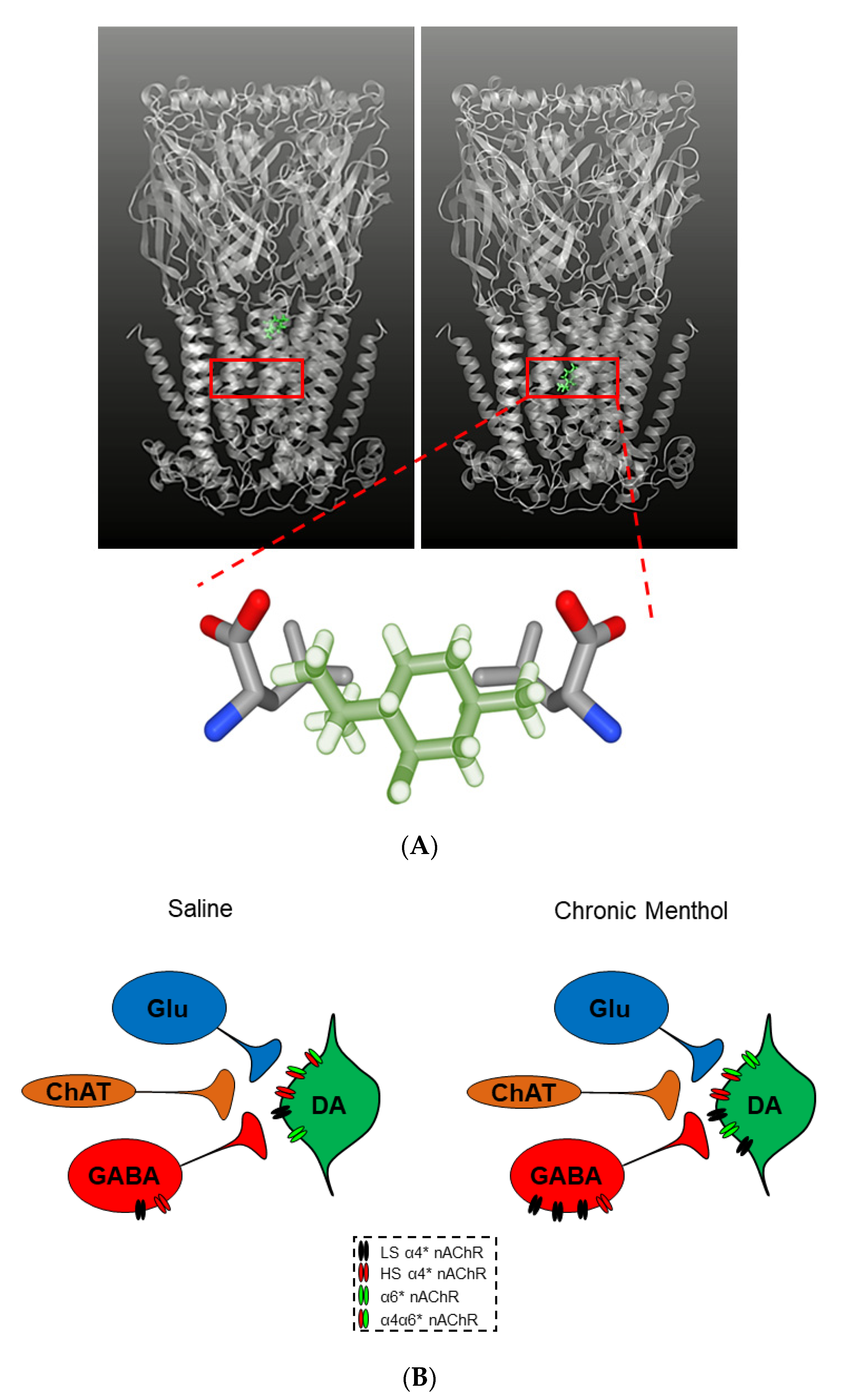 Molecules 25 04223 g004