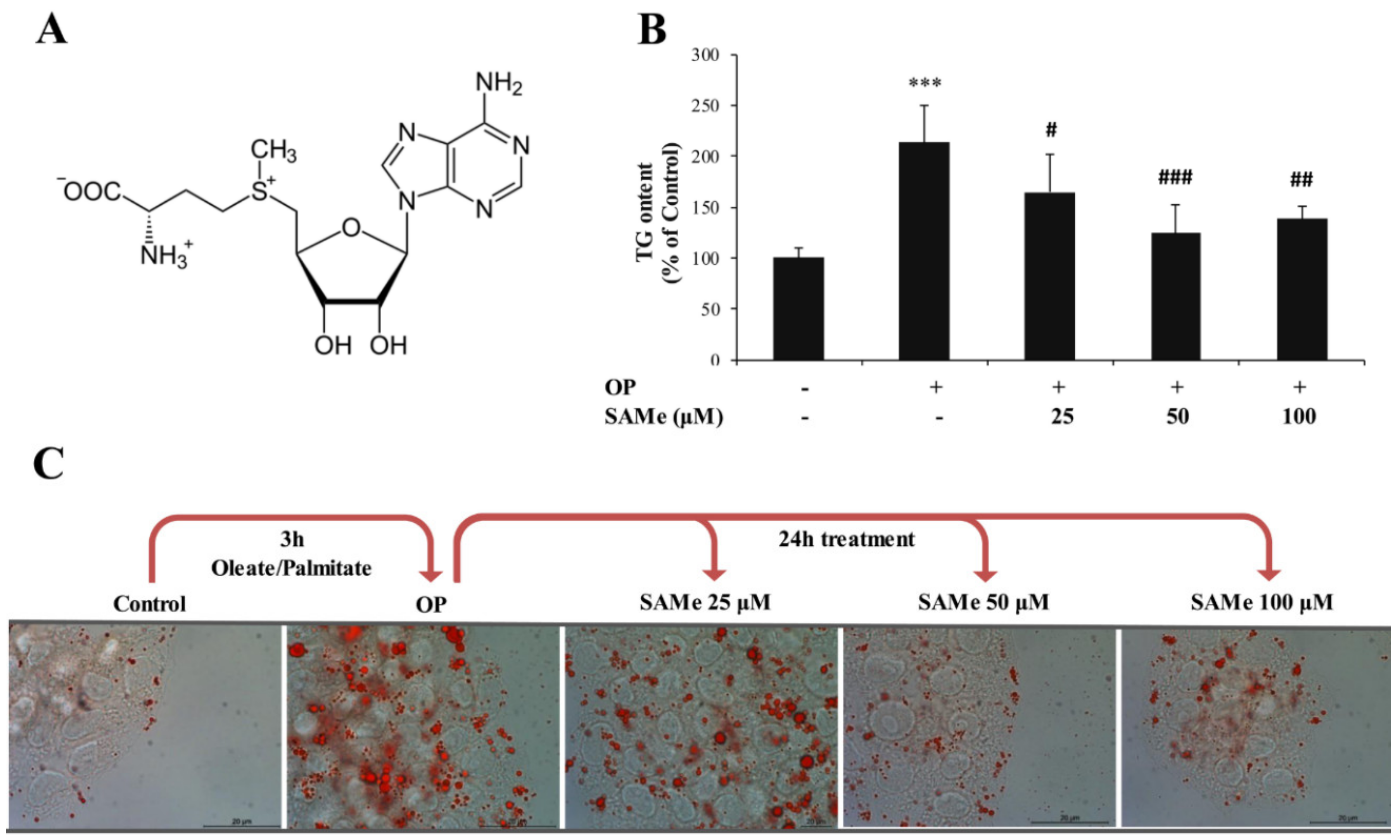 Molecules 25 04237 g001