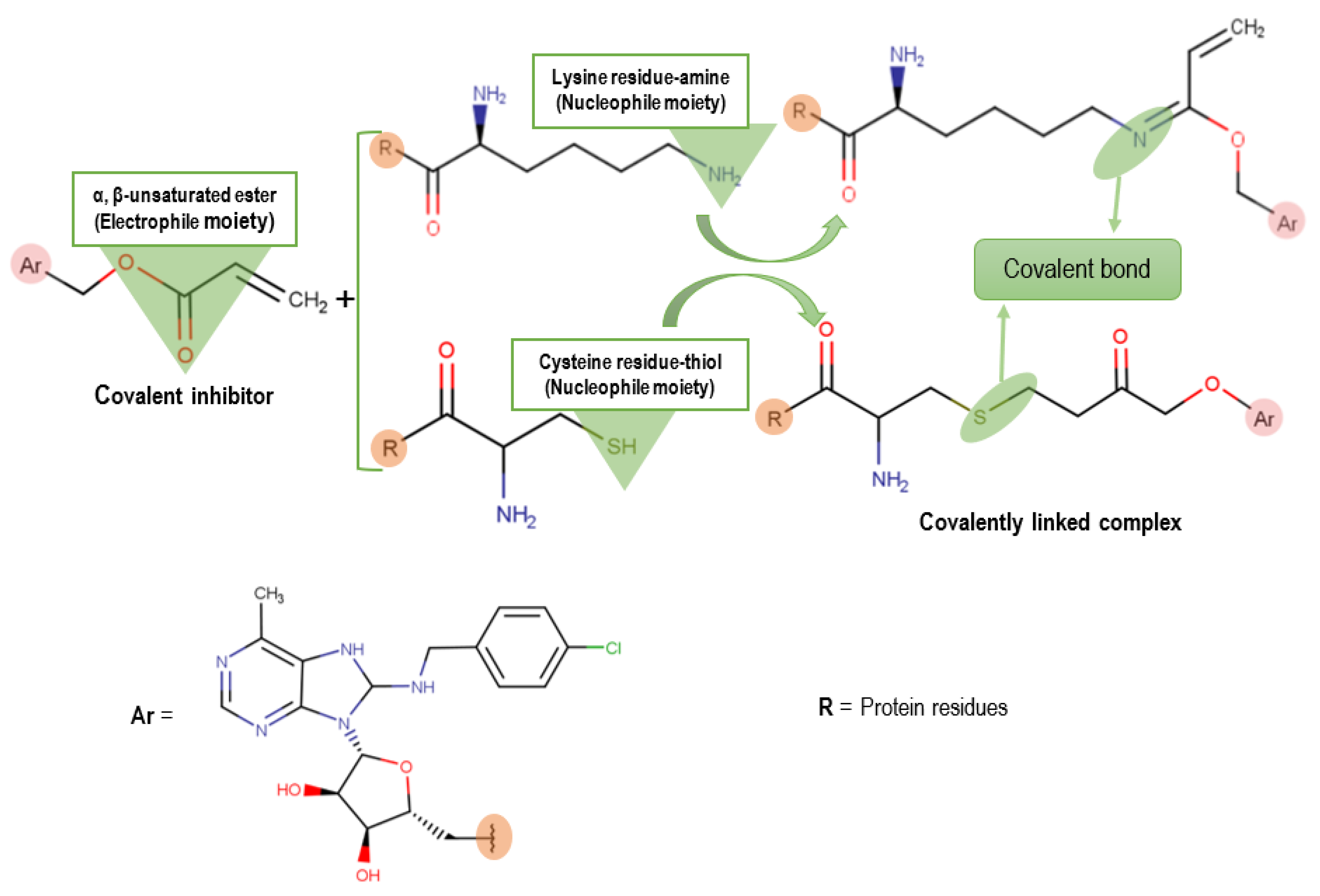 Molecules 25 04239 g002 Molecules 25 04239 g002