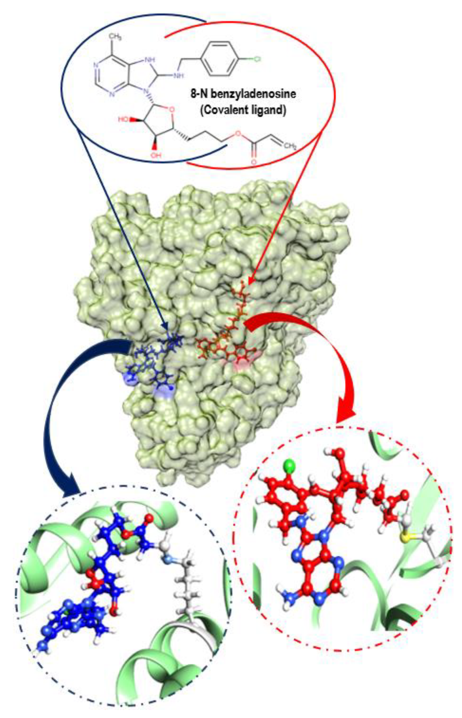 Molecules 25 04239 g003 Molecules 25 04239 g003