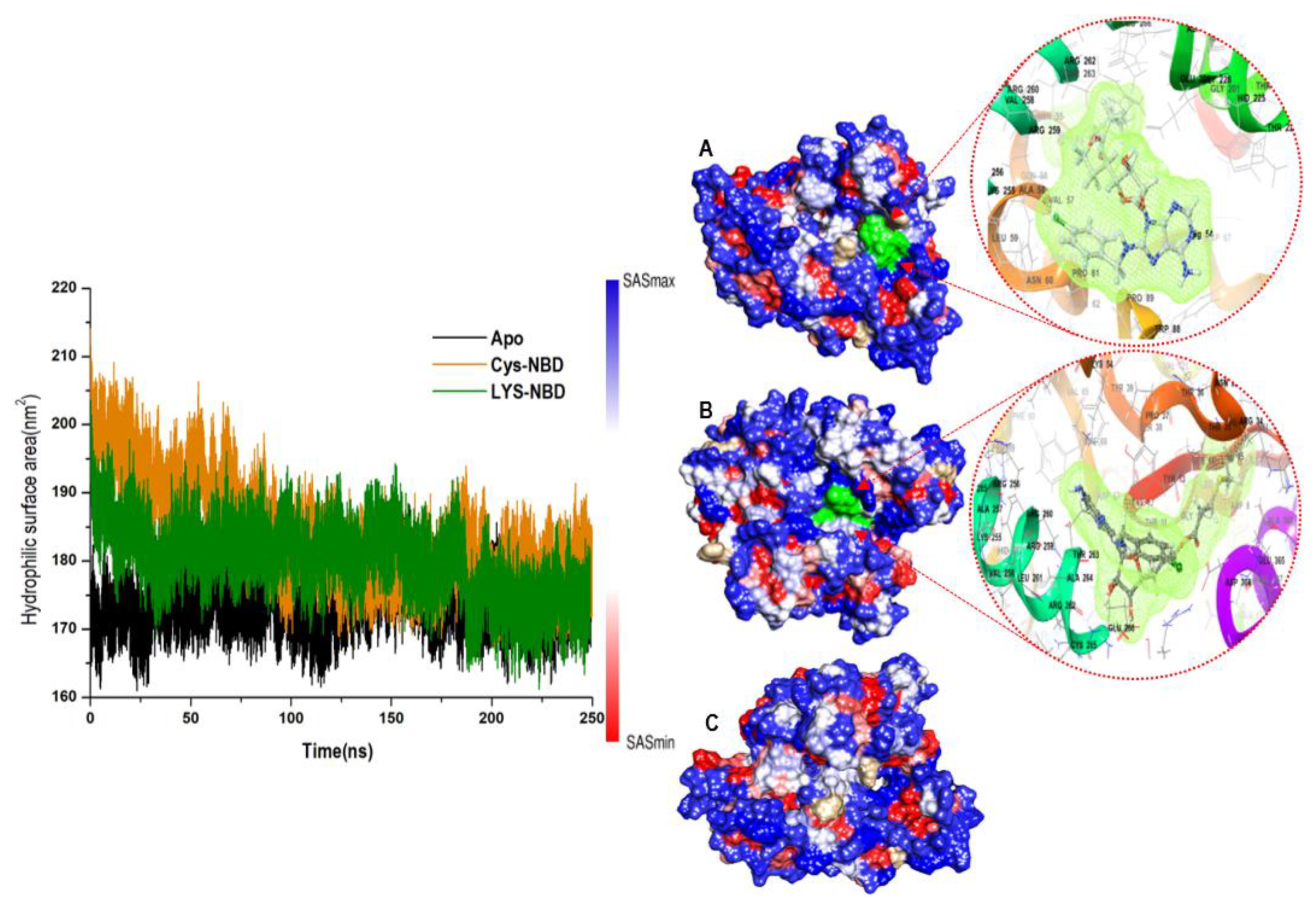 Molecules 25 04239 g005 Molecules 25 04239 g005