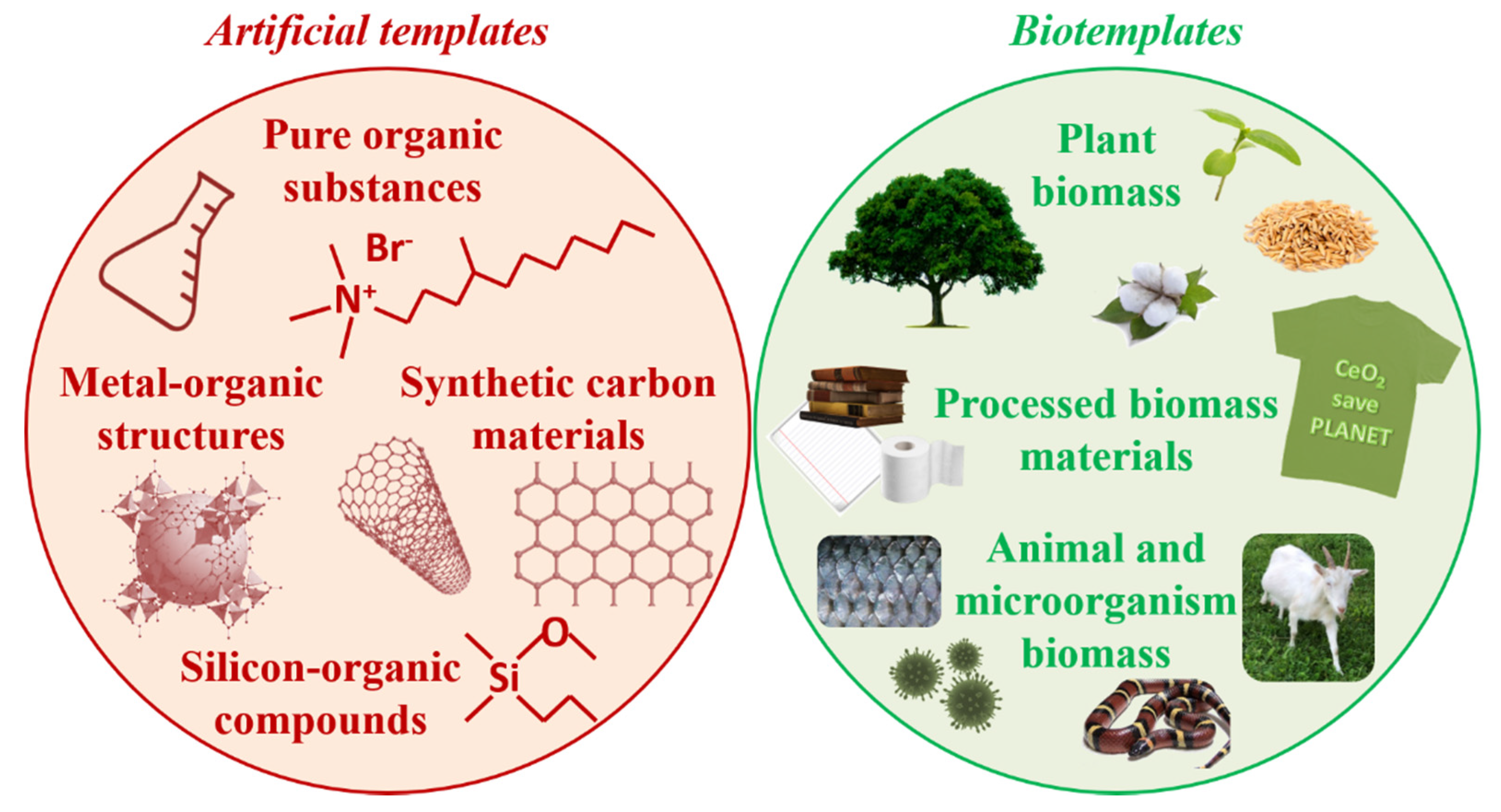 Molecules 25 04242 g001 Molecules 25 04242 g001