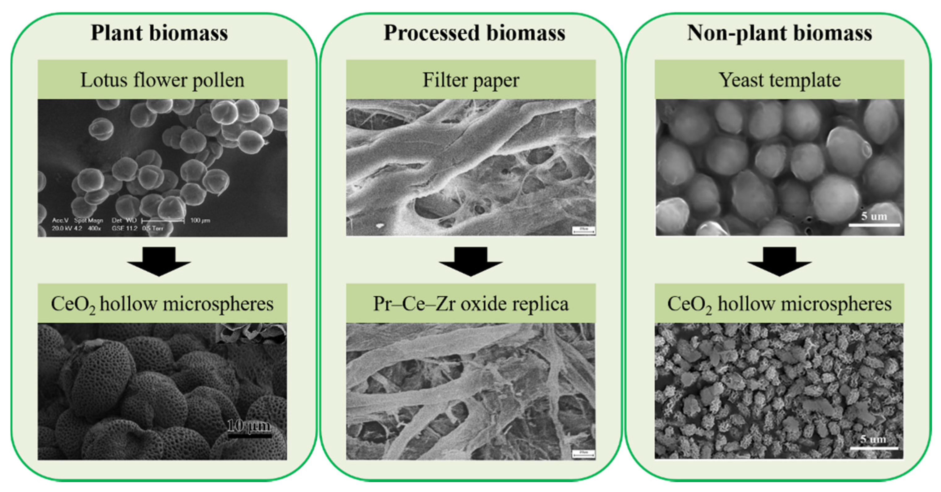 Molecules 25 04242 g006 Molecules 25 04242 g006