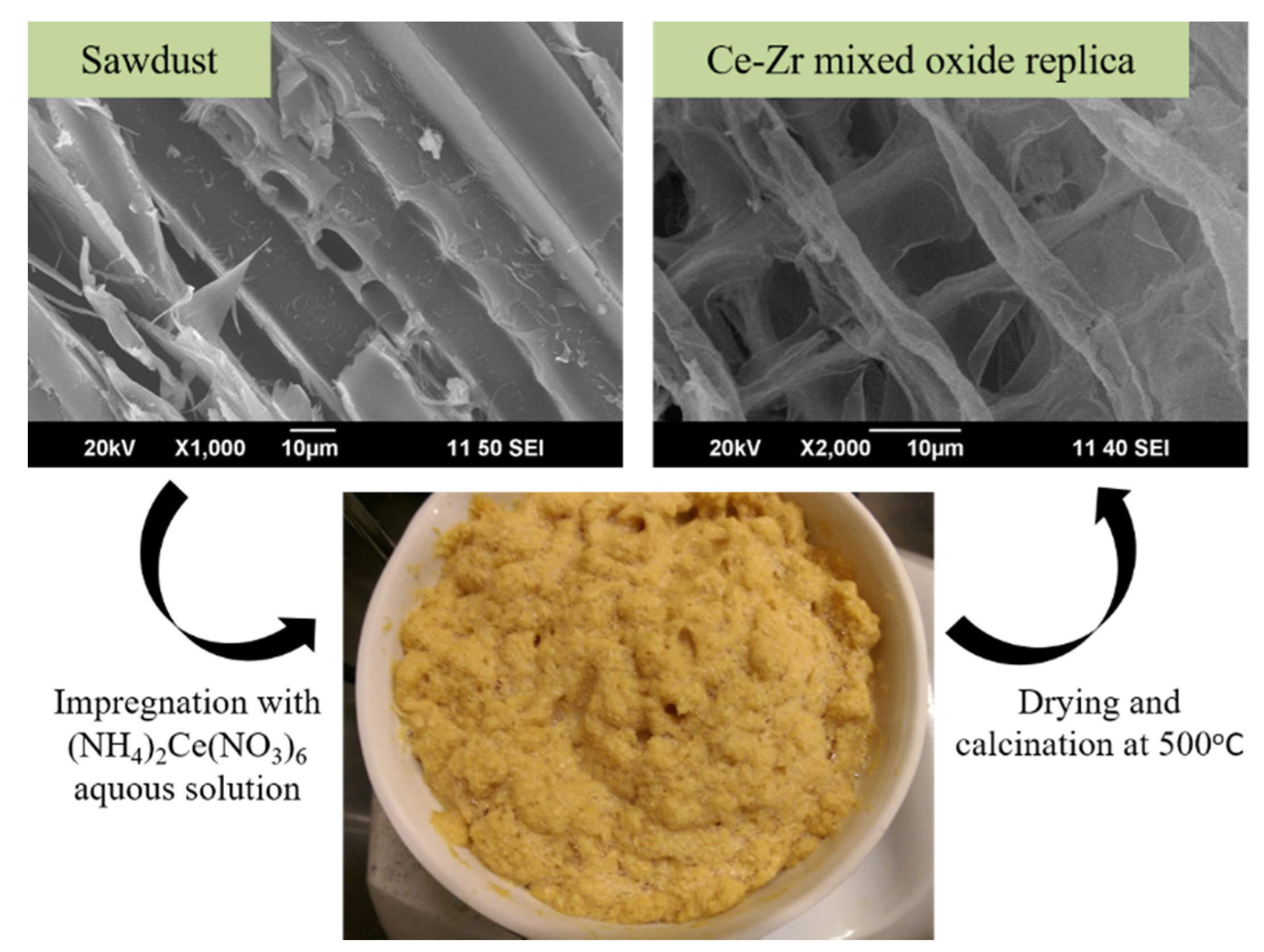 Molecules 25 04242 g007 Molecules 25 04242 g007