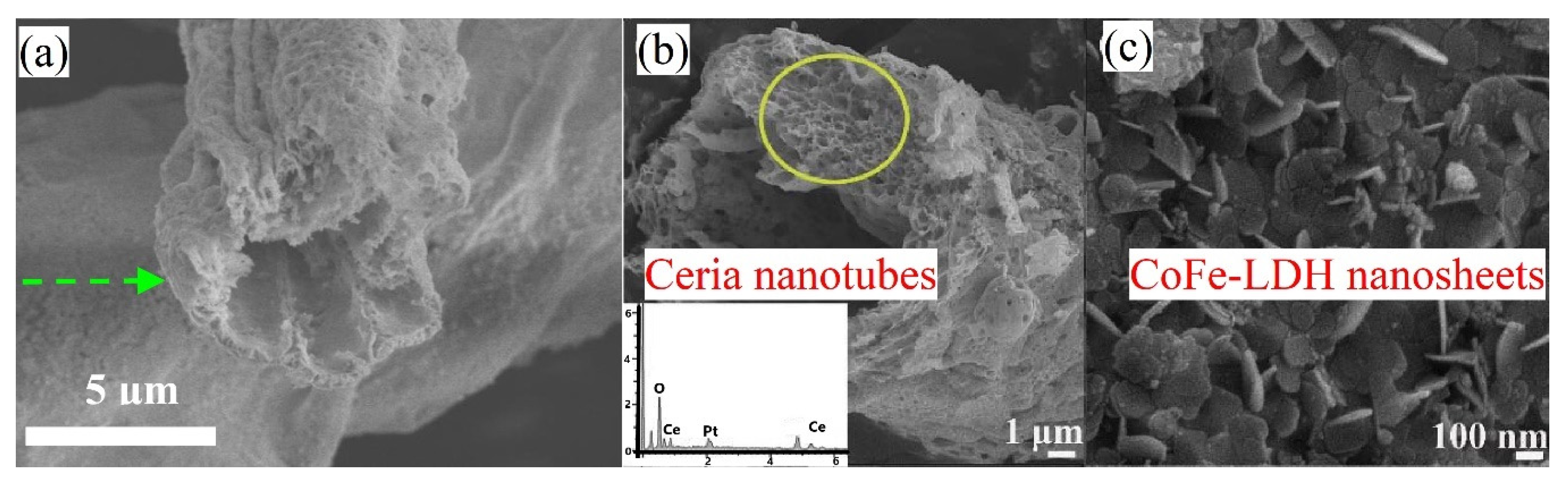 Molecules 25 04242 g008 Molecules 25 04242 g008