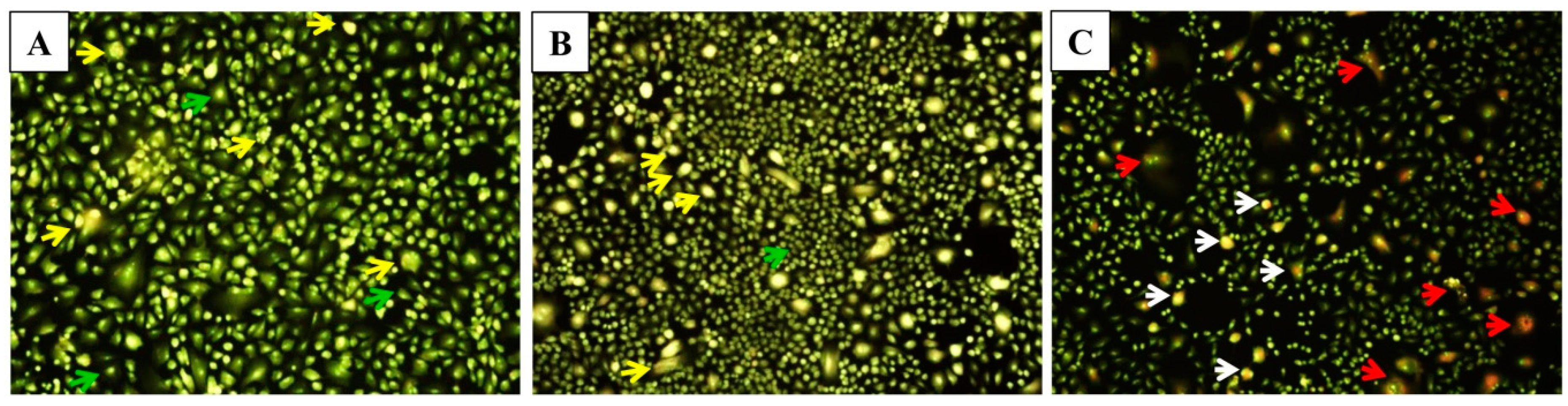 Molecules 25 04243 g006
