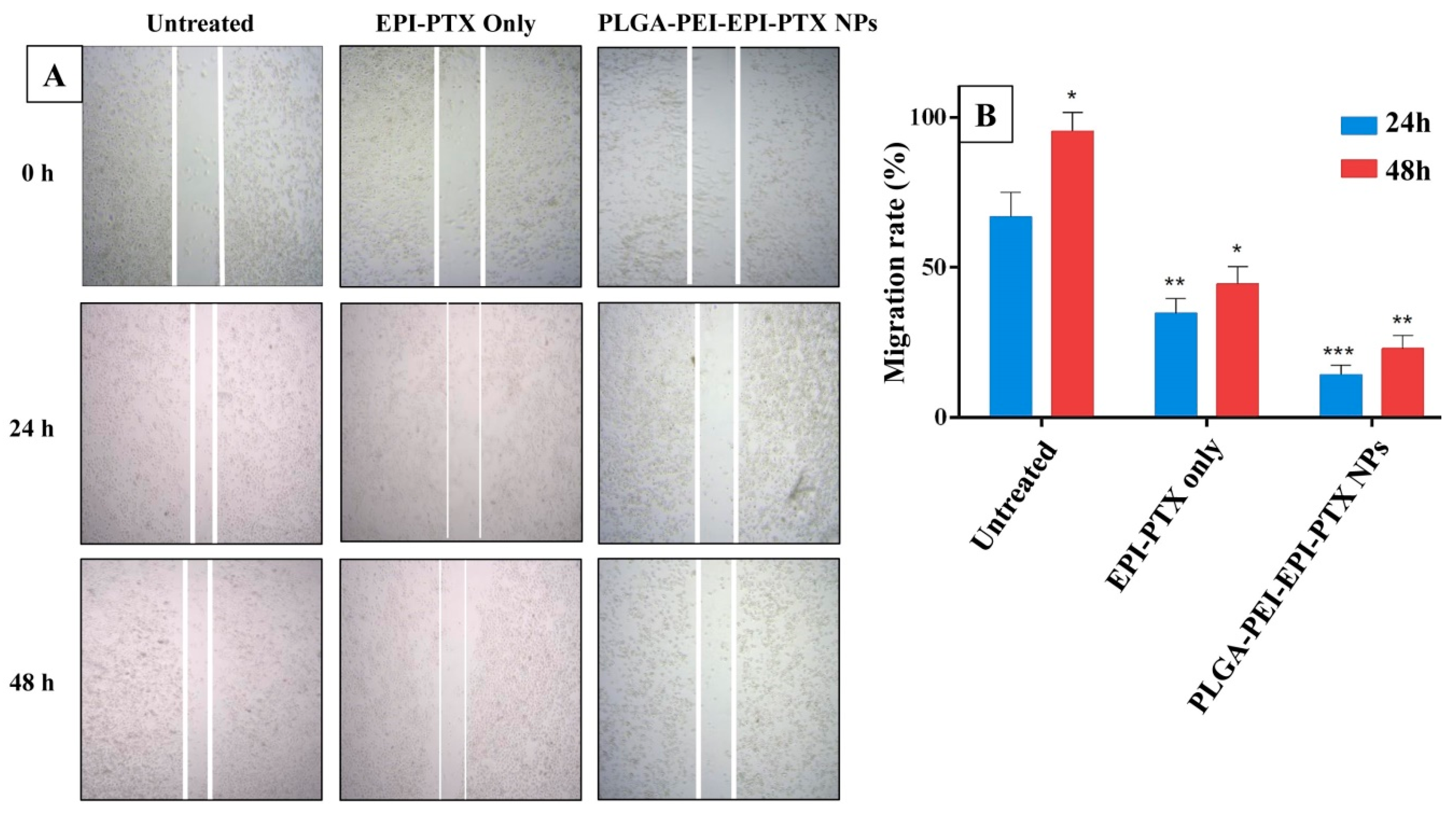 Molecules 25 04243 g007