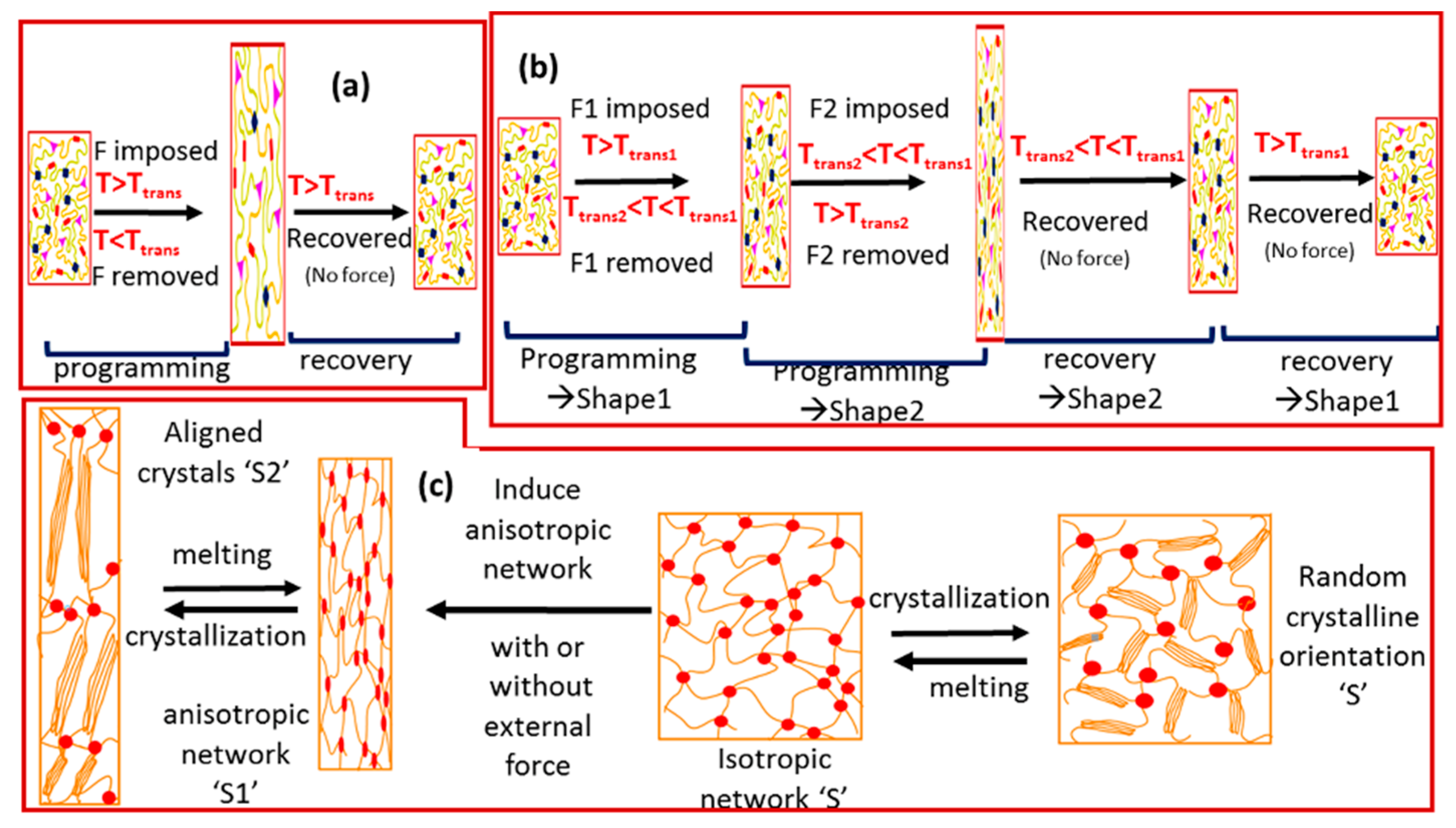 Molecules 25 04246 g001