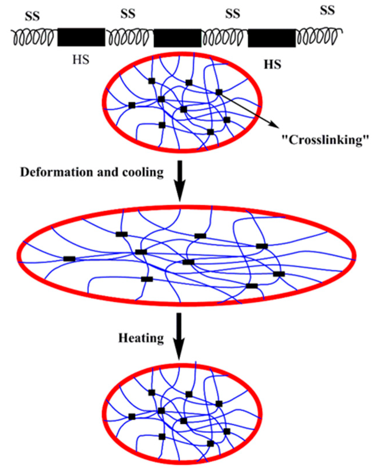 Molecules 25 04246 g003