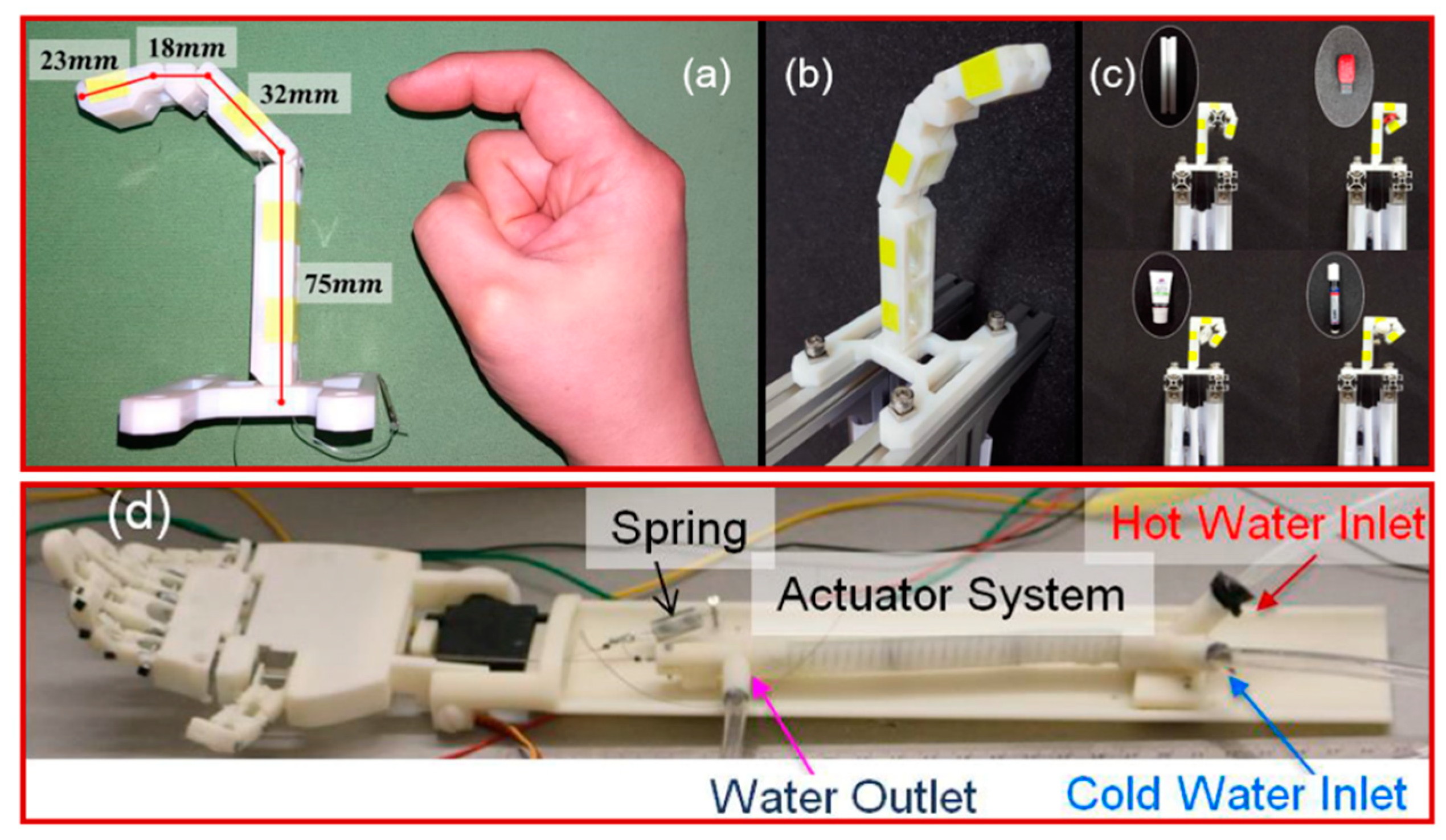 Molecules 25 04246 g004