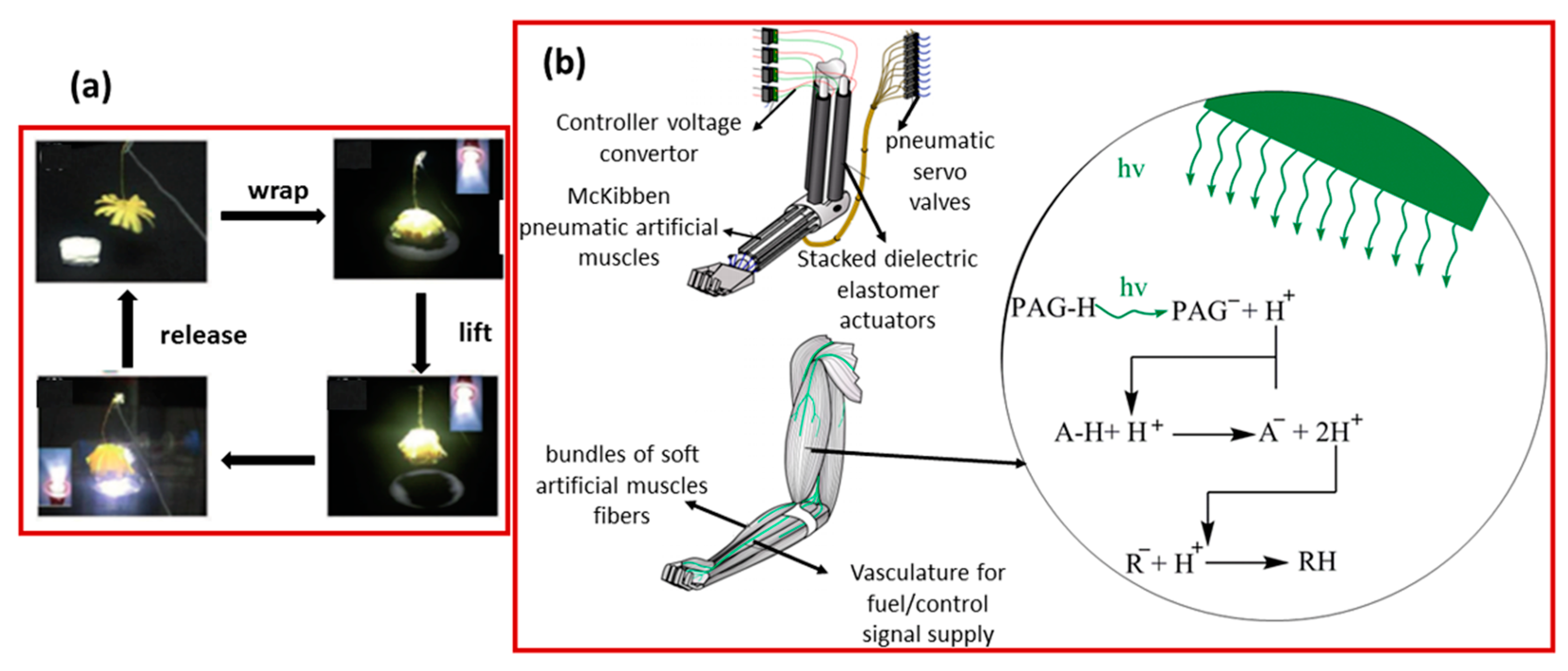 Molecules 25 04246 g009
