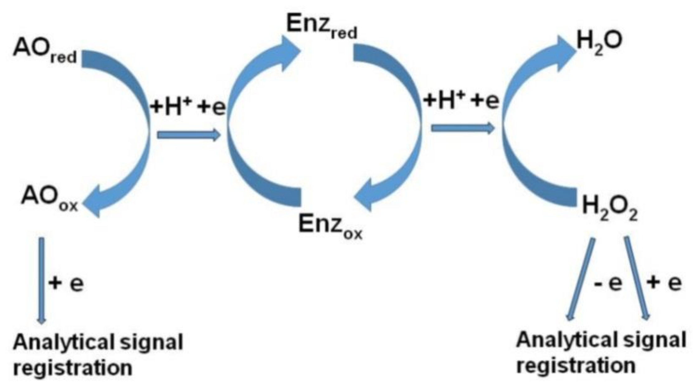 Molecules 25 04251 g007