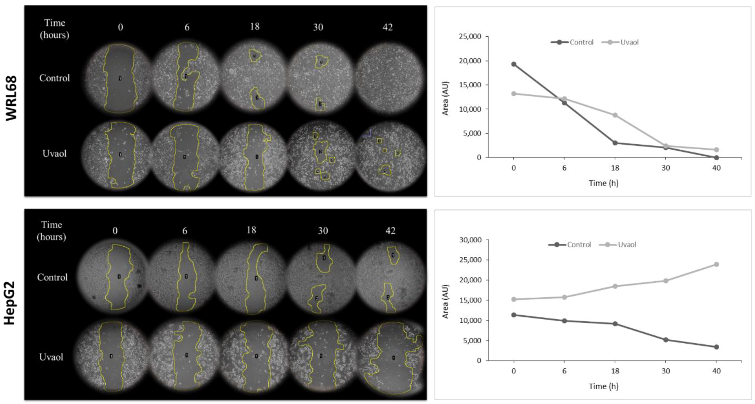 Molecules 25 04254 g003