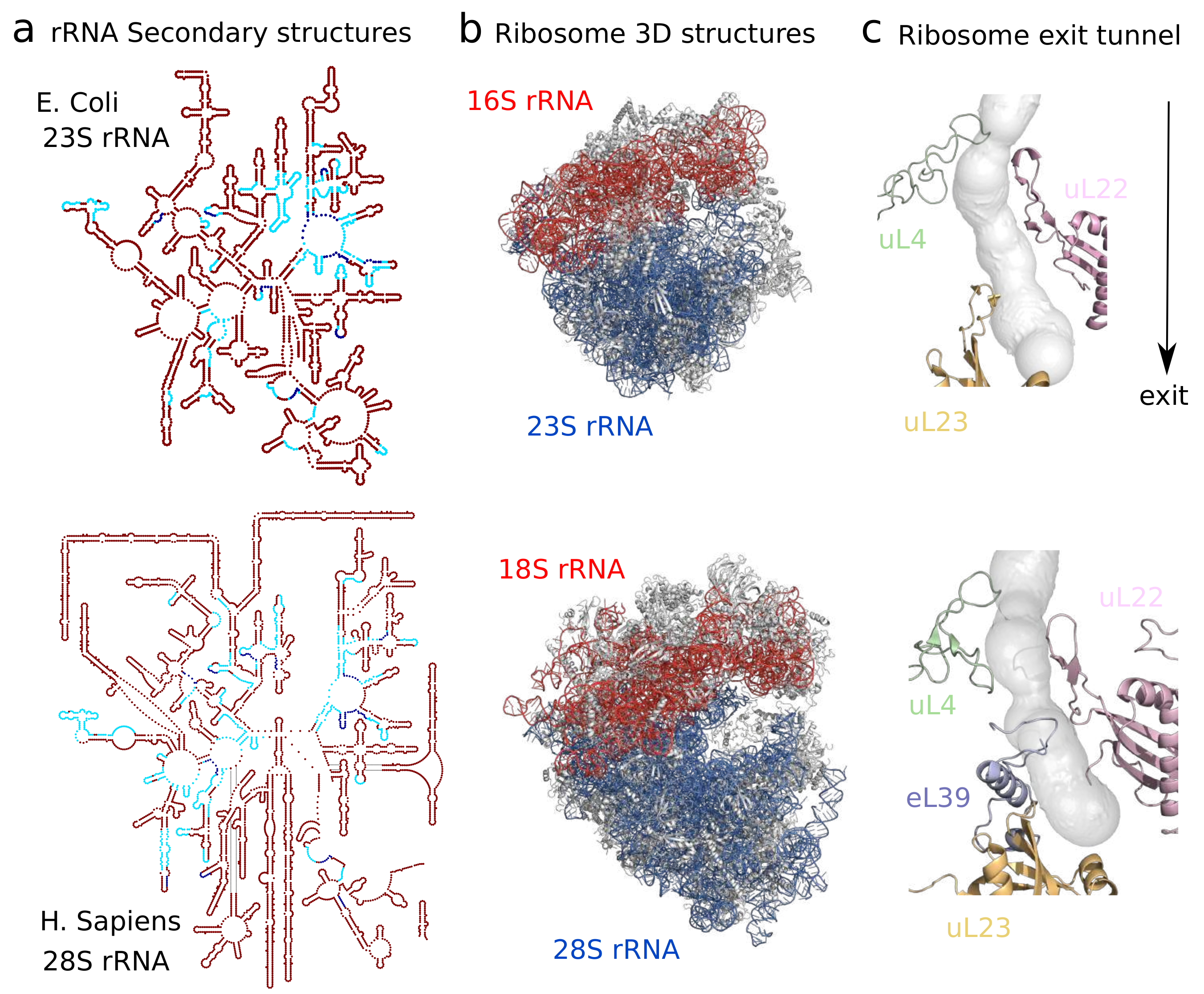 Molecules 25 04262 g002
