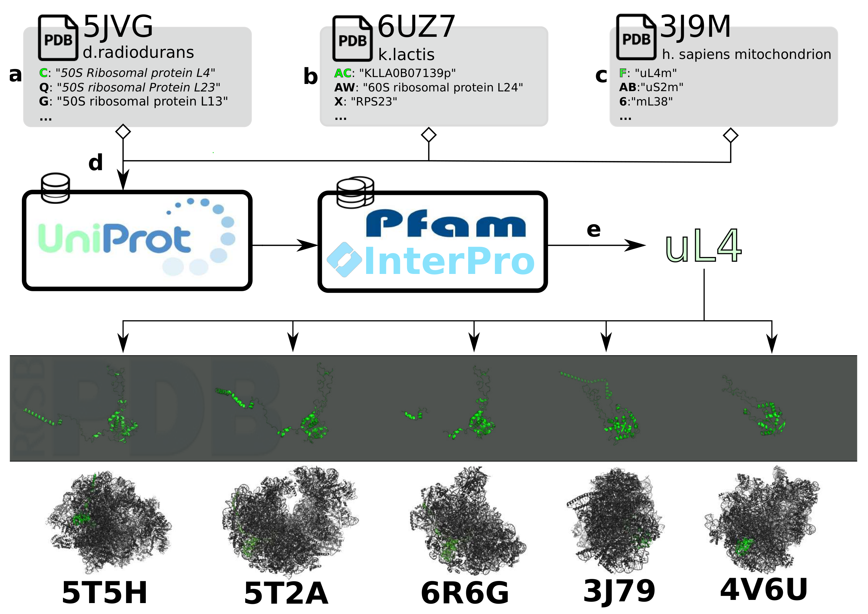 Molecules 25 04262 g003