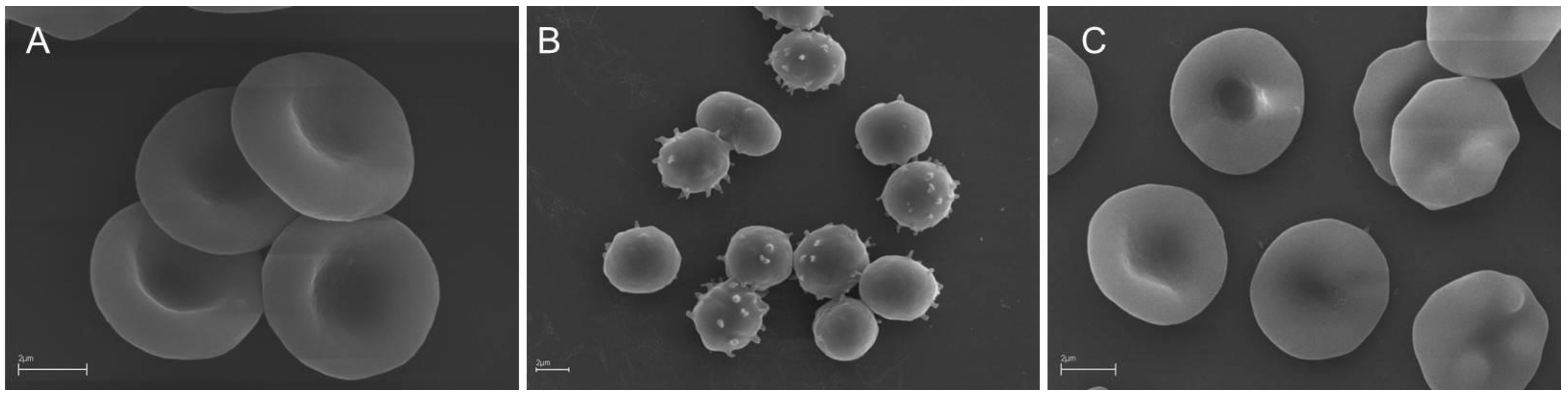 Molecules 25 04266 g001 Molecules 25 04266 g001