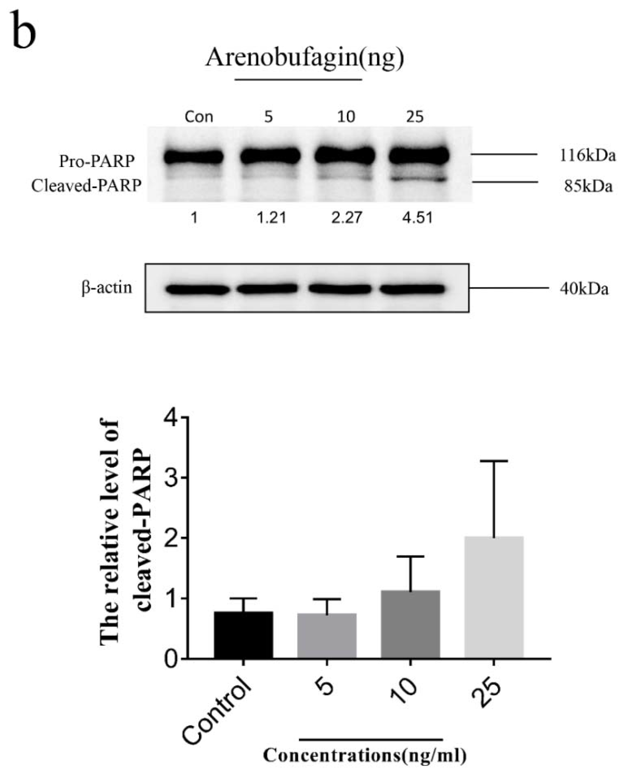 Molecules 25 04269 g008b