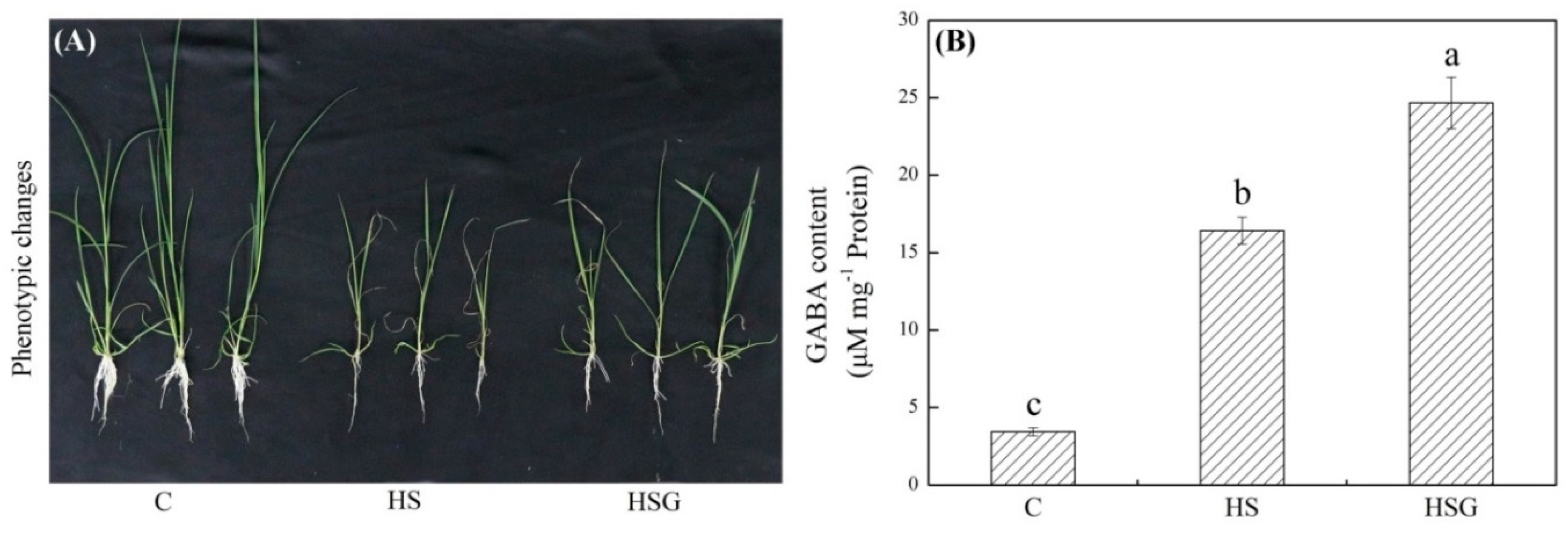 Molecules 25 04270 g001