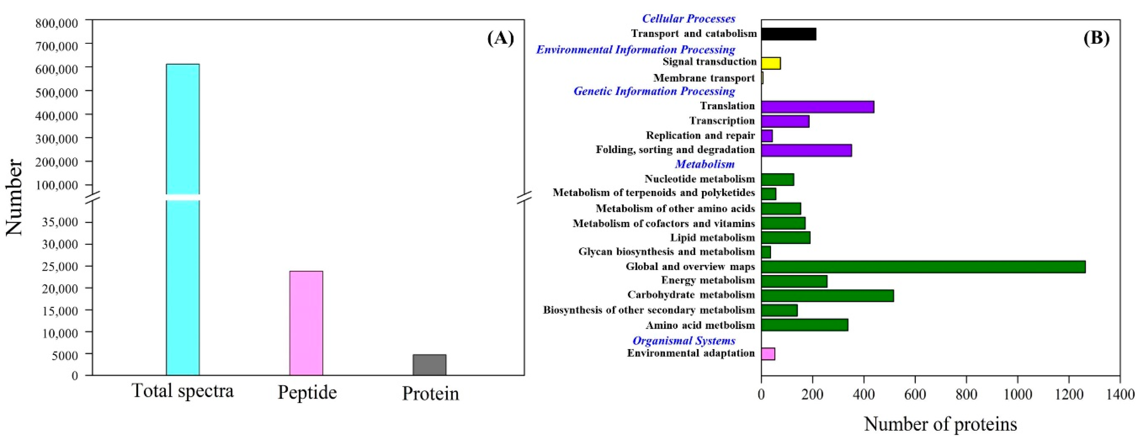 Molecules 25 04270 g004