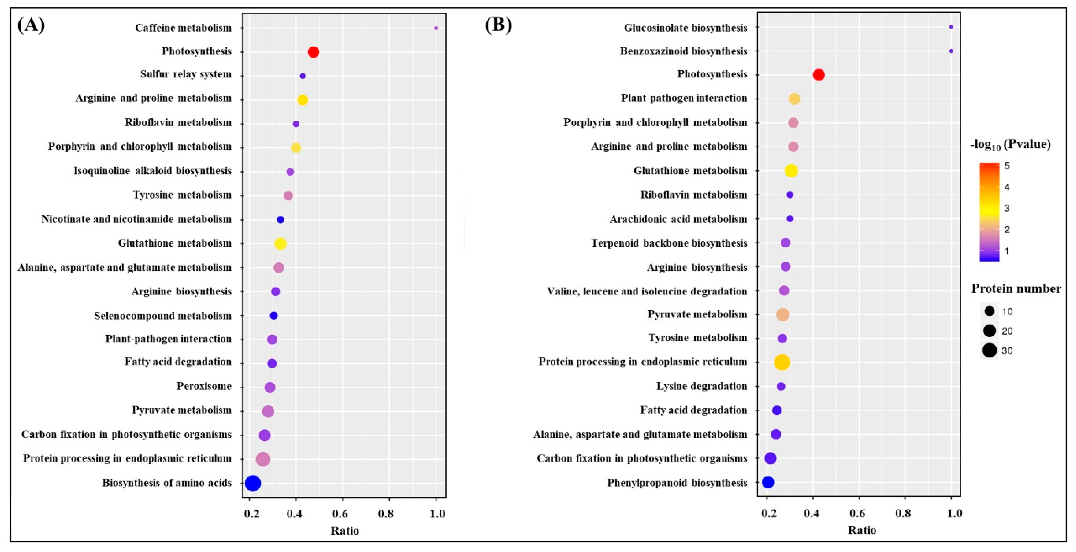 Molecules 25 04270 g008