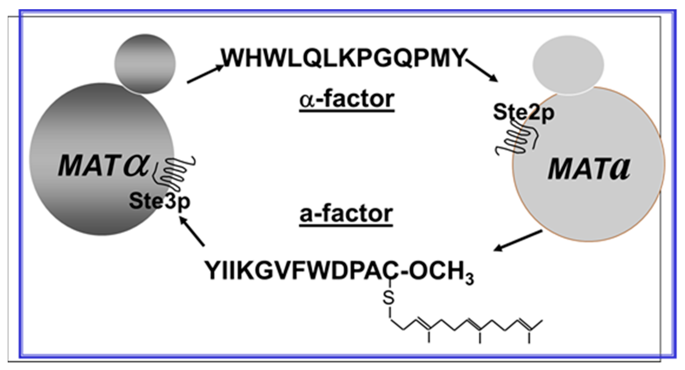 Molecules 25 04272 g001 Molecules 25 04272 g001