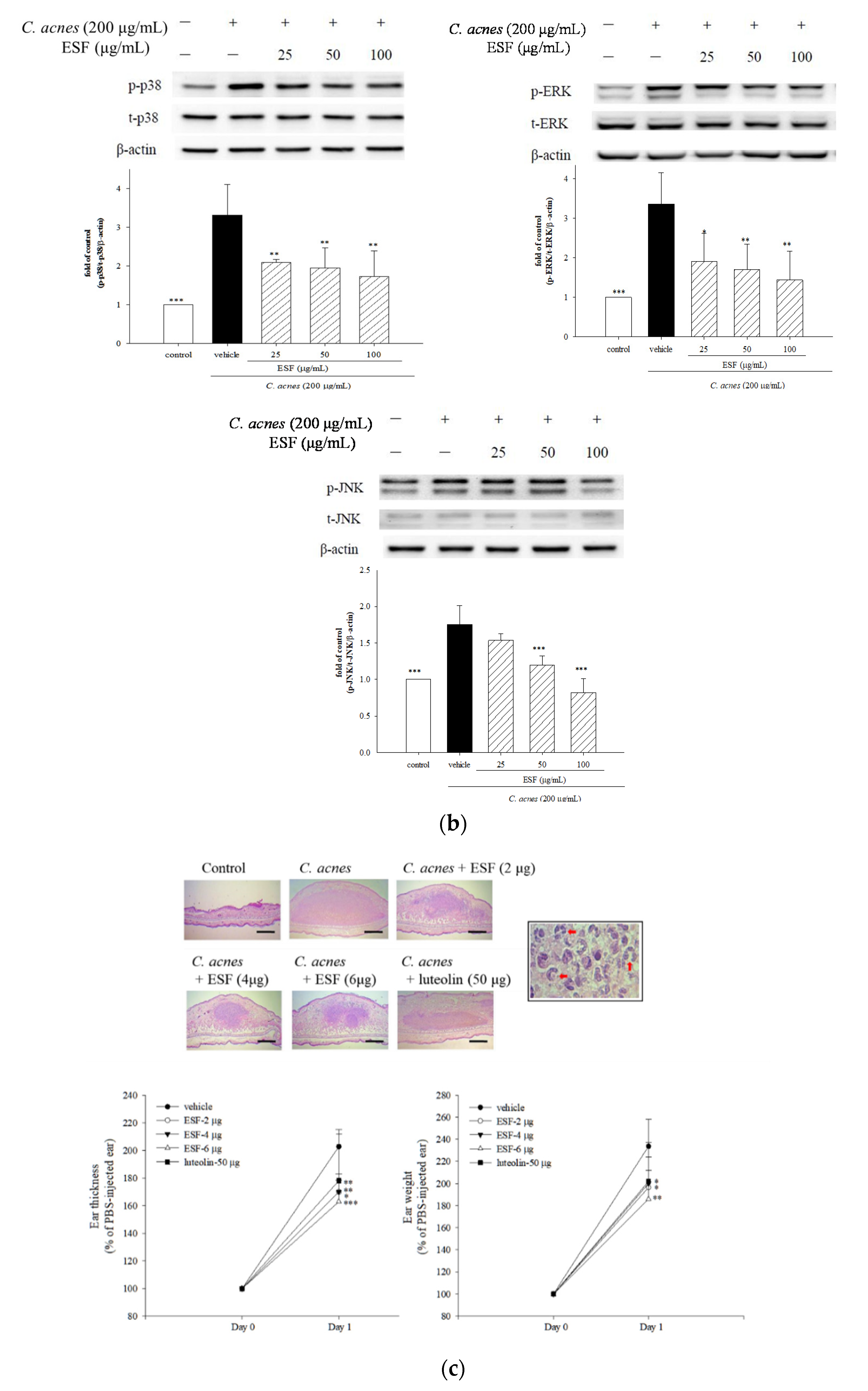Molecules 25 04277 g003b