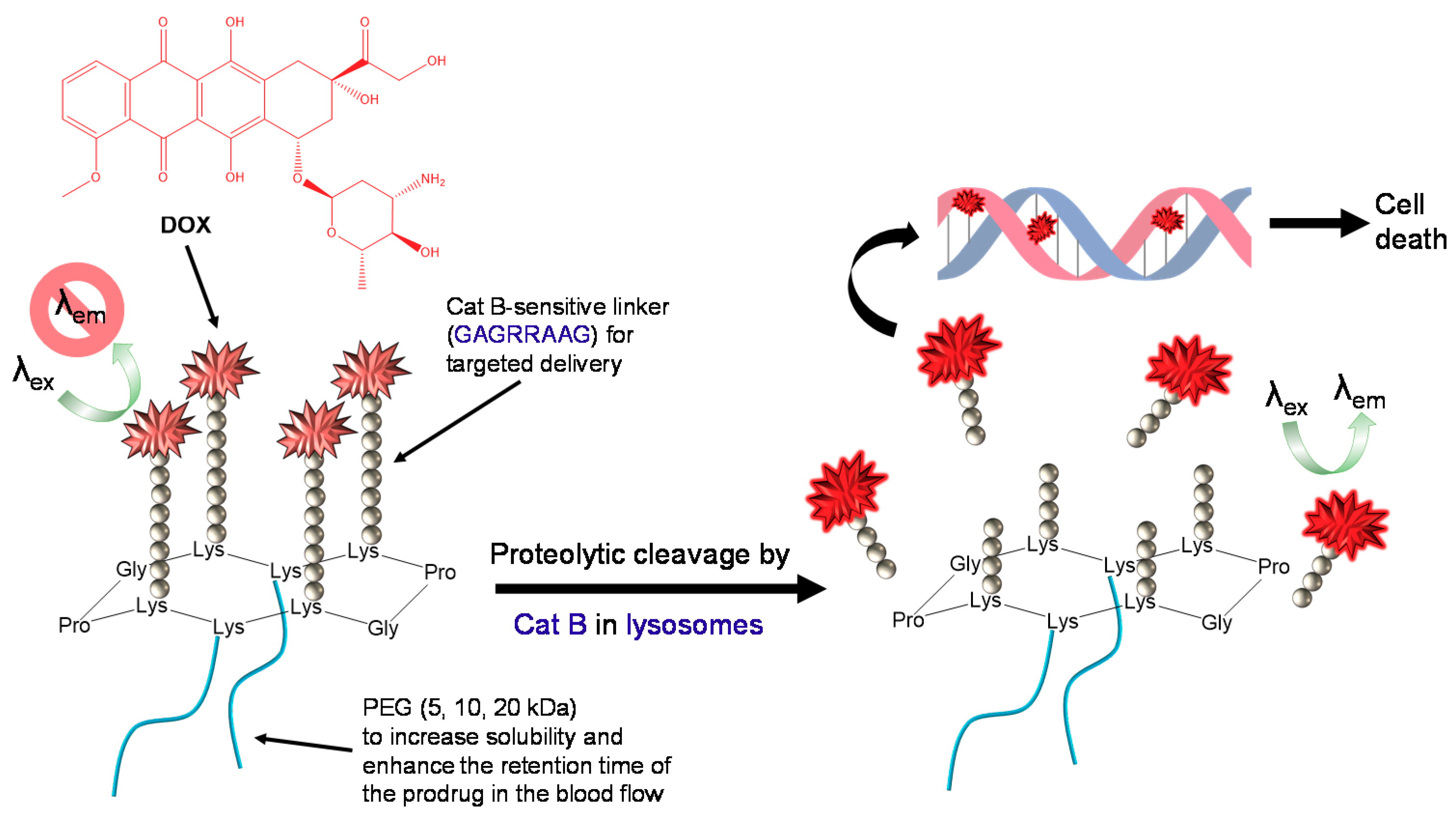 Molecules 25 04285 g001