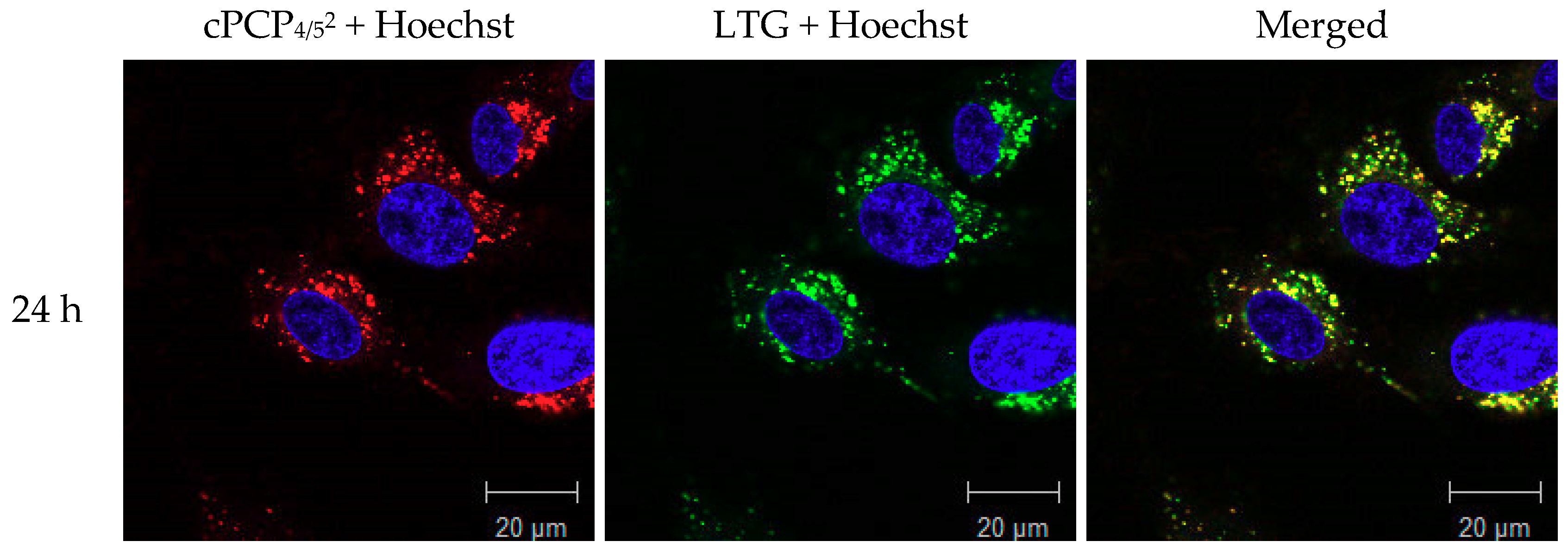 Molecules 25 04285 g005a