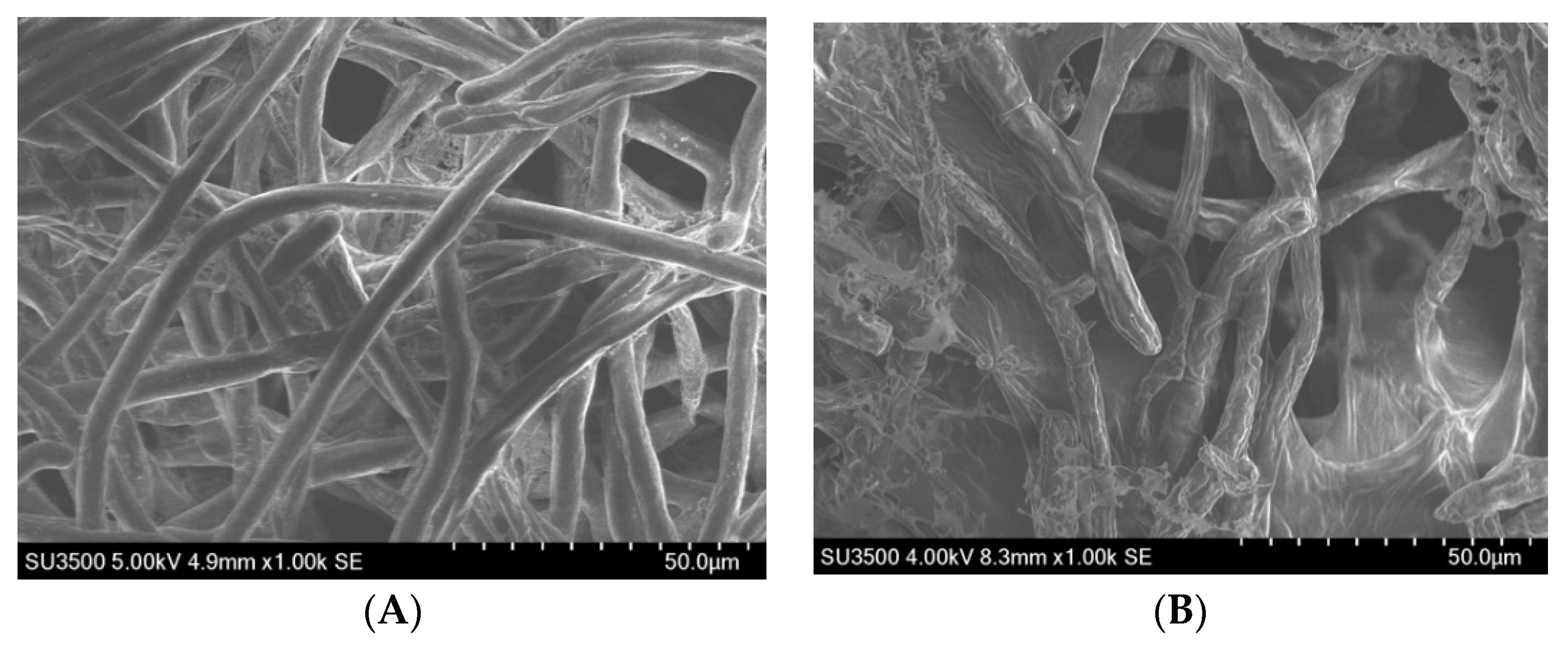 Molecules 25 04291 g003 Molecules 25 04291 g003