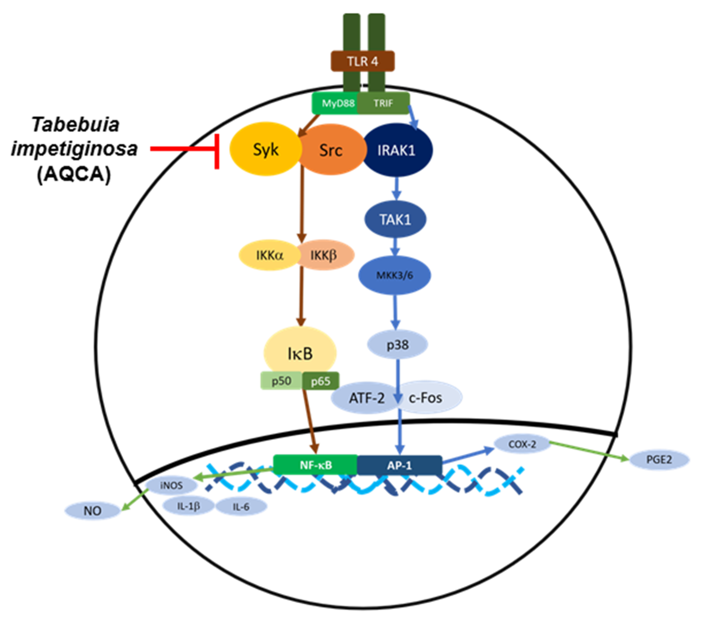 Molecules 25 04294 g003